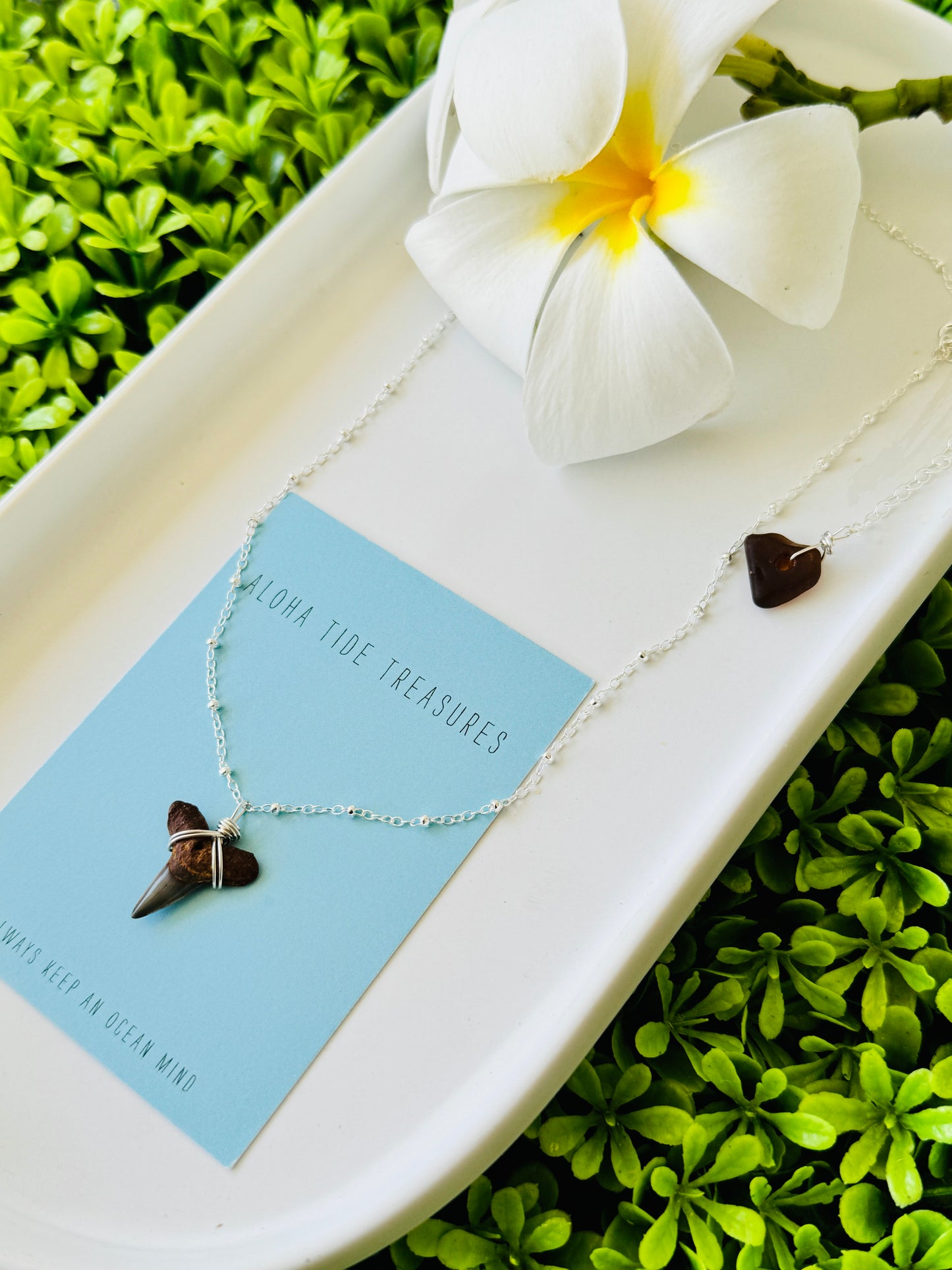 Sterling Silver Shark Tooth Necklace 16”