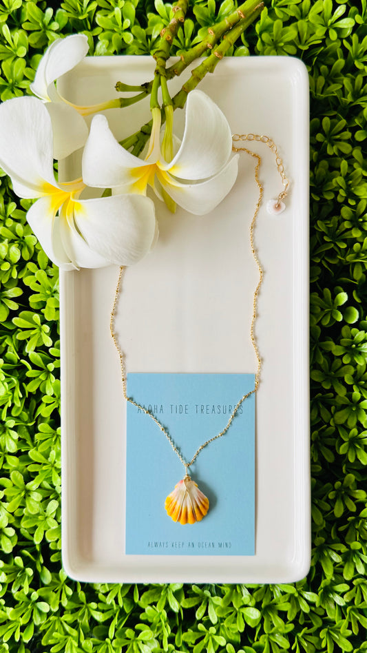 14K GF Sunrise Shell Necklace 16”