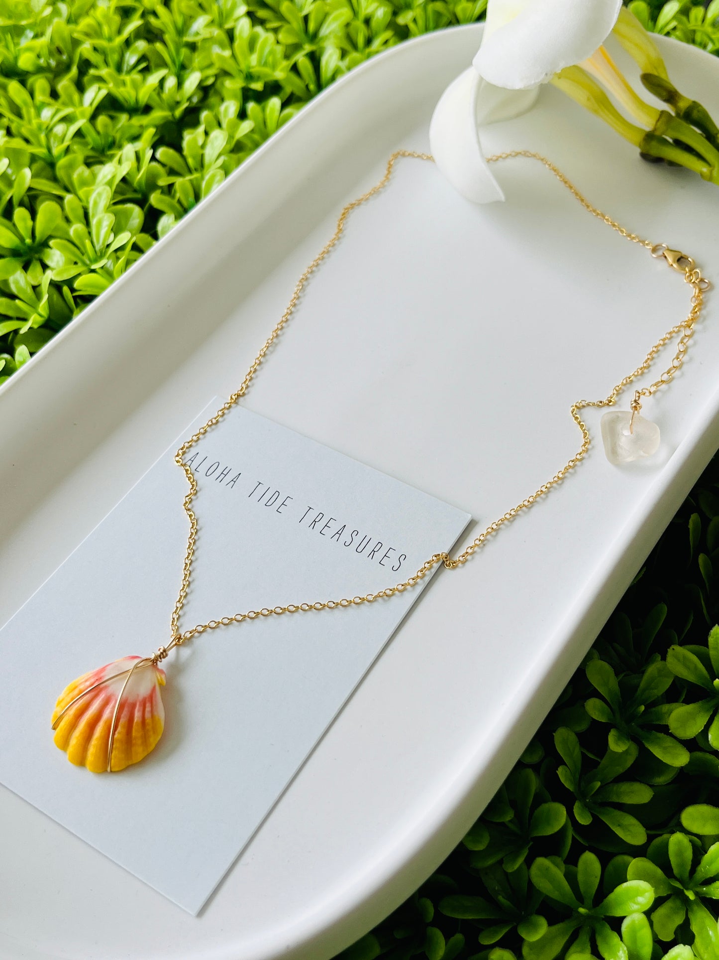 14K GF Sunrise Shell Necklace 16”