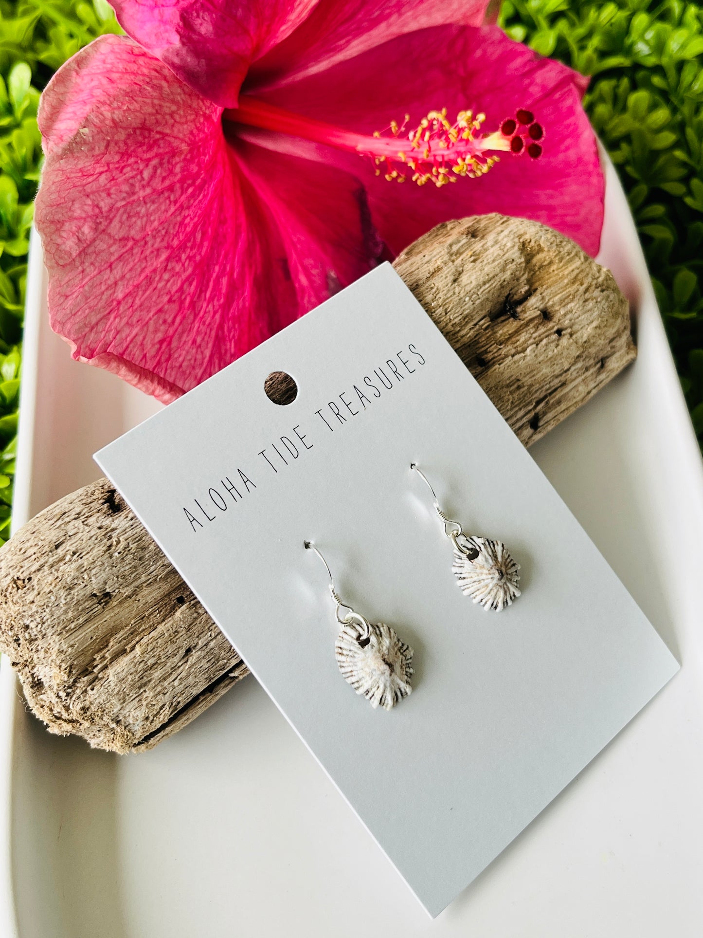 Sterling Silver ‘Opihi Earrings