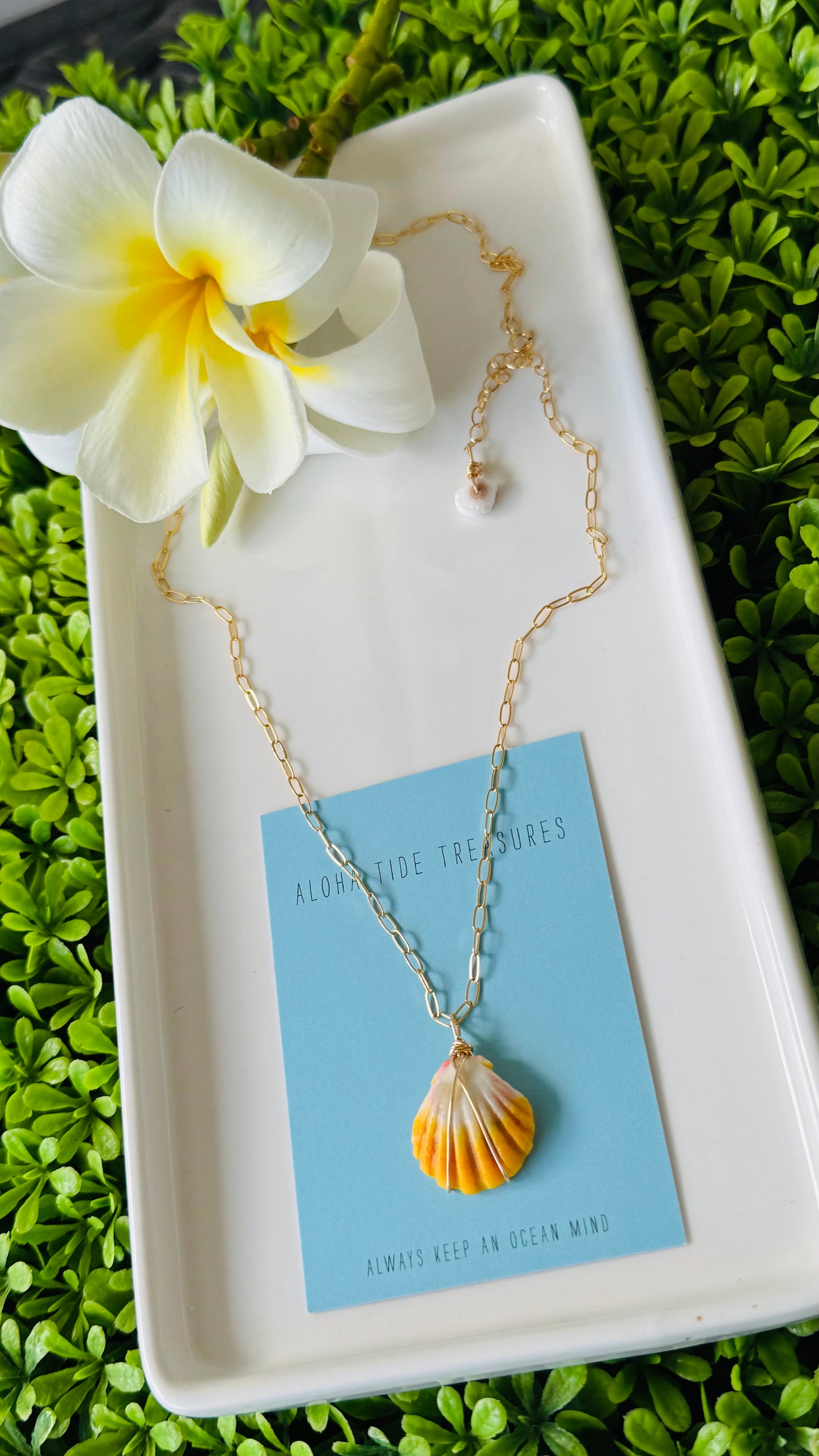 14K GF Sunrise Shell Necklace 18” - Sara