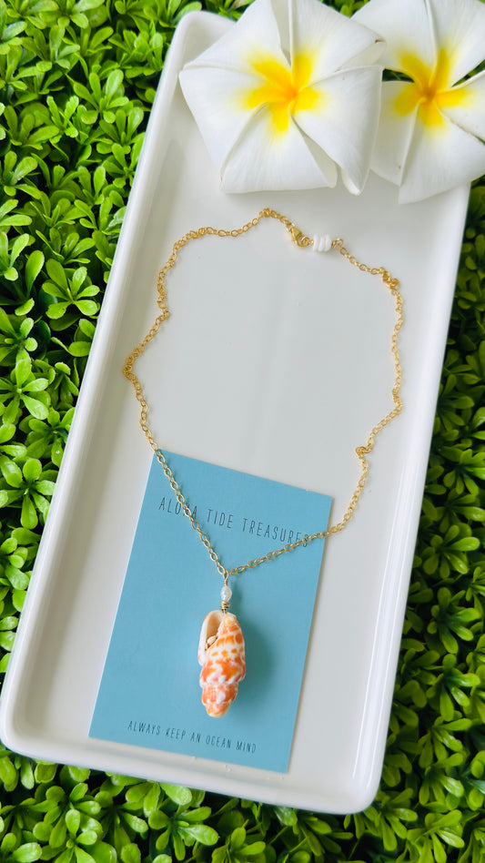 14K GF Miter Shell Necklace 16”