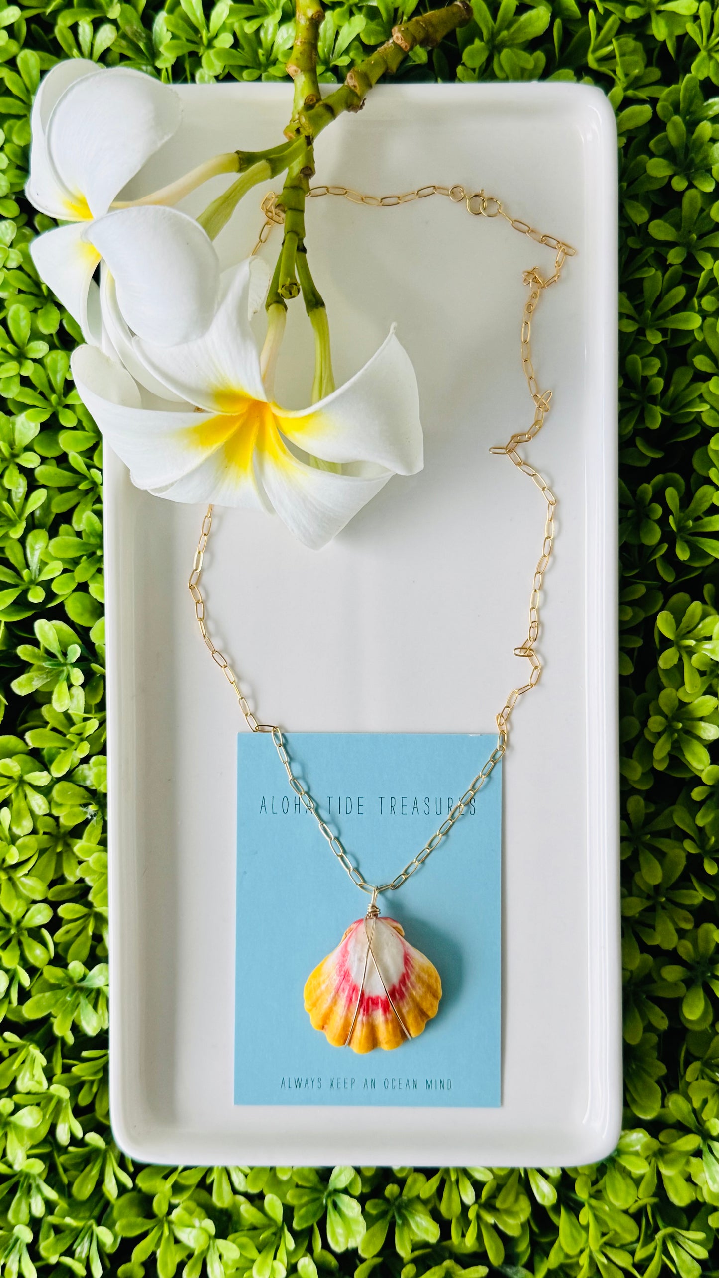 14K GF Sunrise Shell Necklace 20” - Carrie