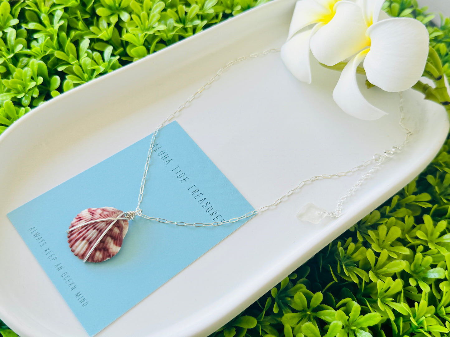 Sterling Silver Carolina Calico Shell Necklace - 16”
