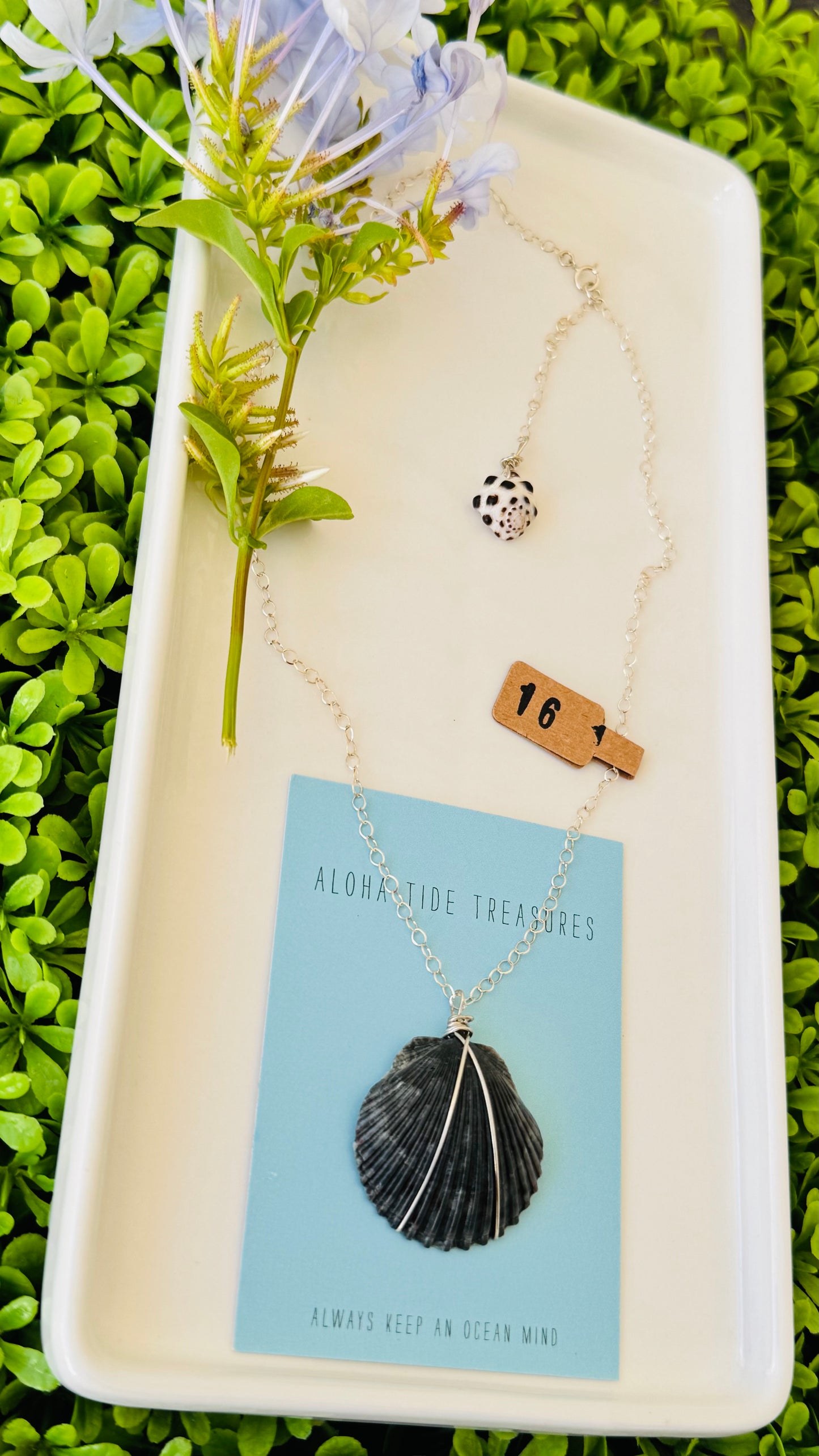 Sterling Silver Black Shell Necklace - 16”
