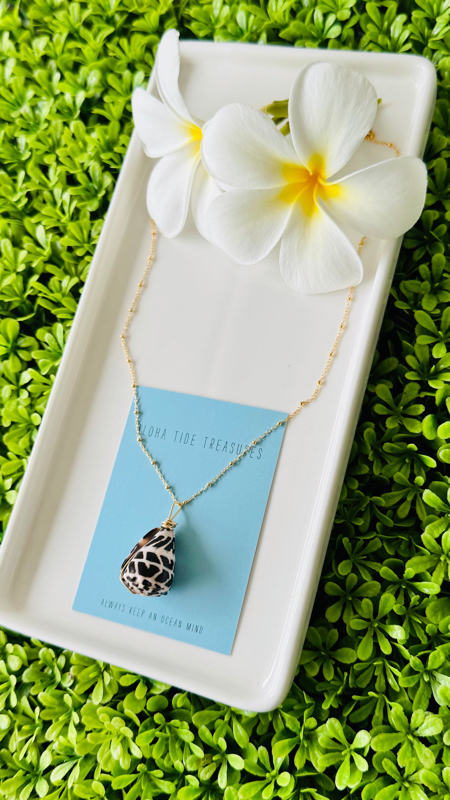 14K GF Hebrew Shell Necklace 18” - Stephanie