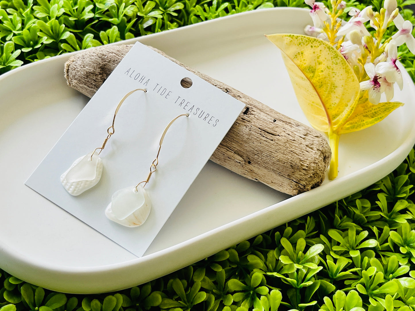 14K GF Sea Glass Shell Earrings