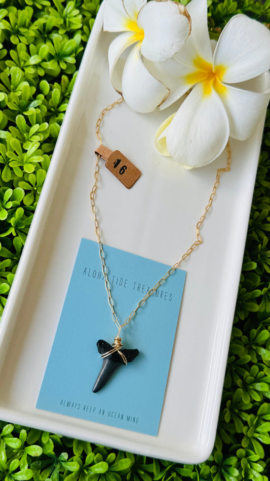 14K GF Shark Tooth Necklace 16”