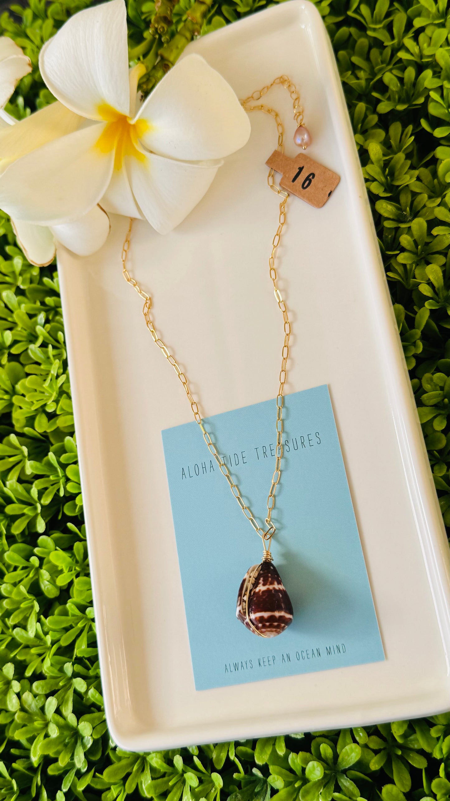 14K GF Chaldean Cone Shell Necklace 16”