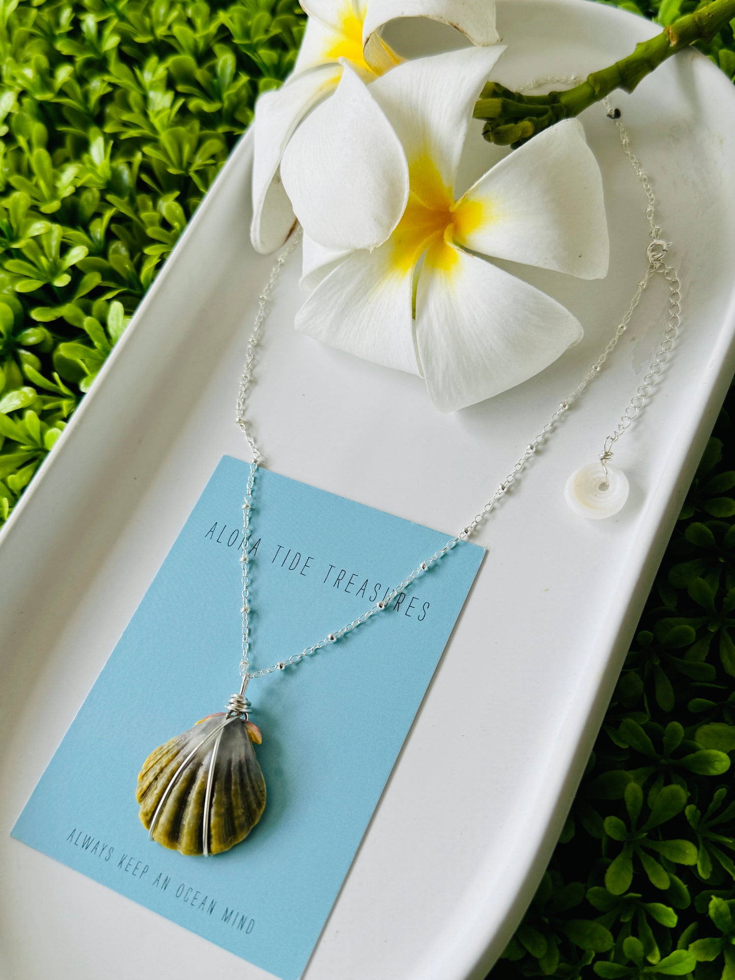 Sterling Silver Moonrise Shell Necklace 16”