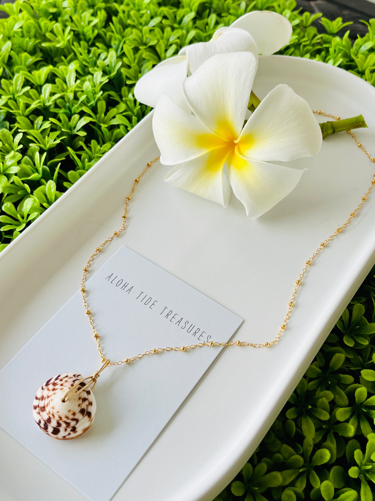 14K GF Puka Necklace 16”
