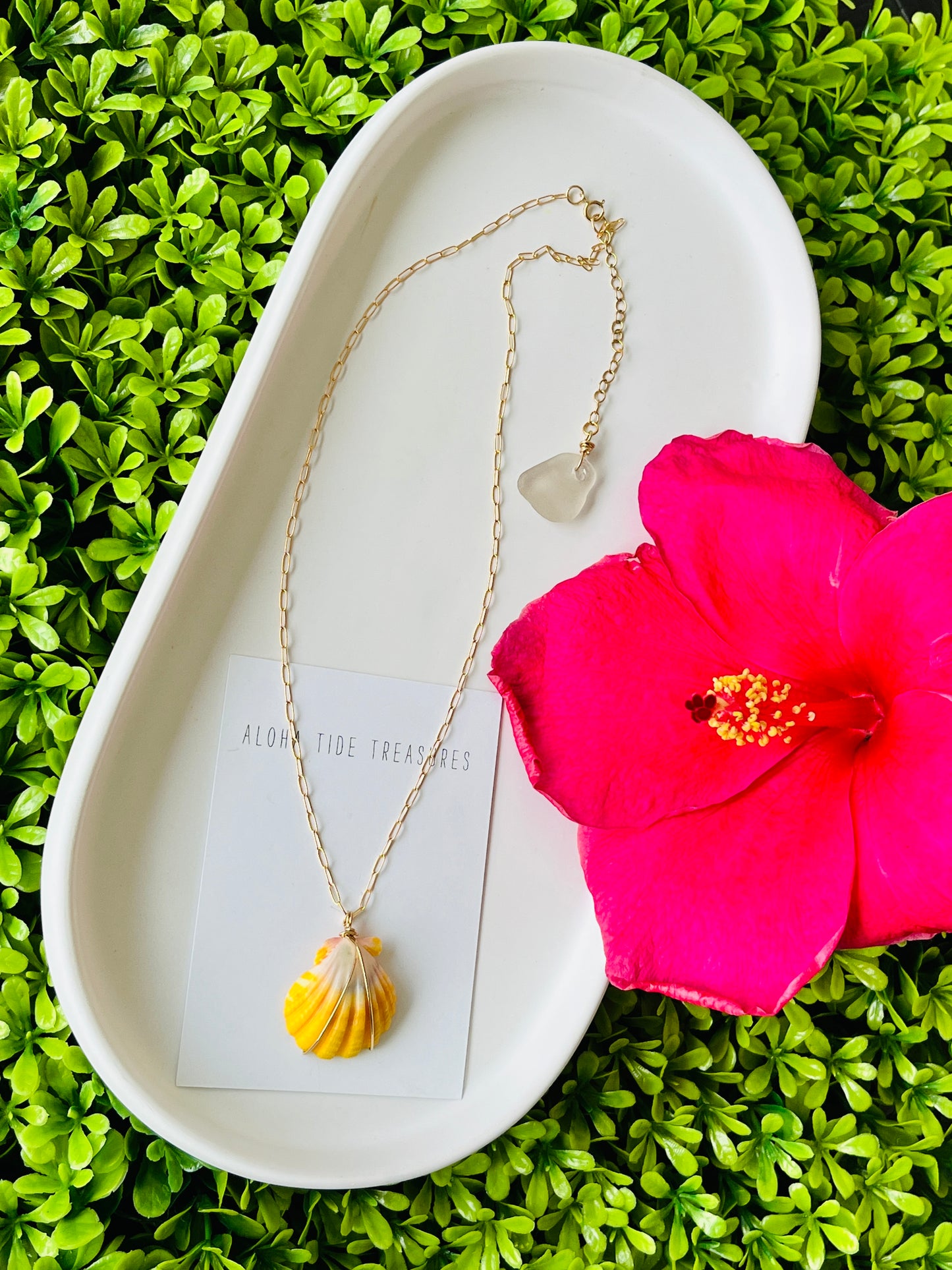 14K GF Sunrise Shell 16” Chain w Extender