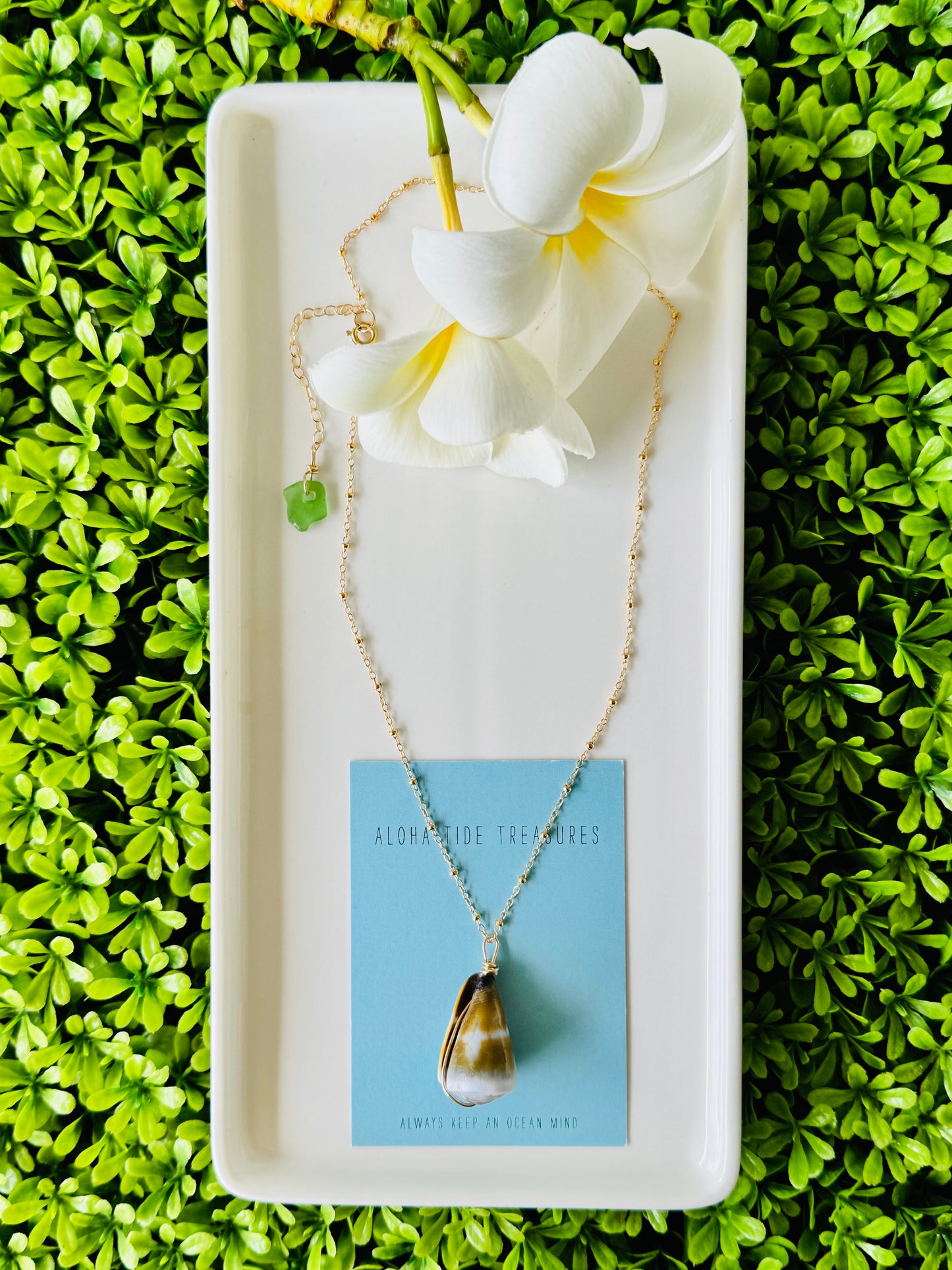 14K GF Cone Shell Necklace 16” - Lauren