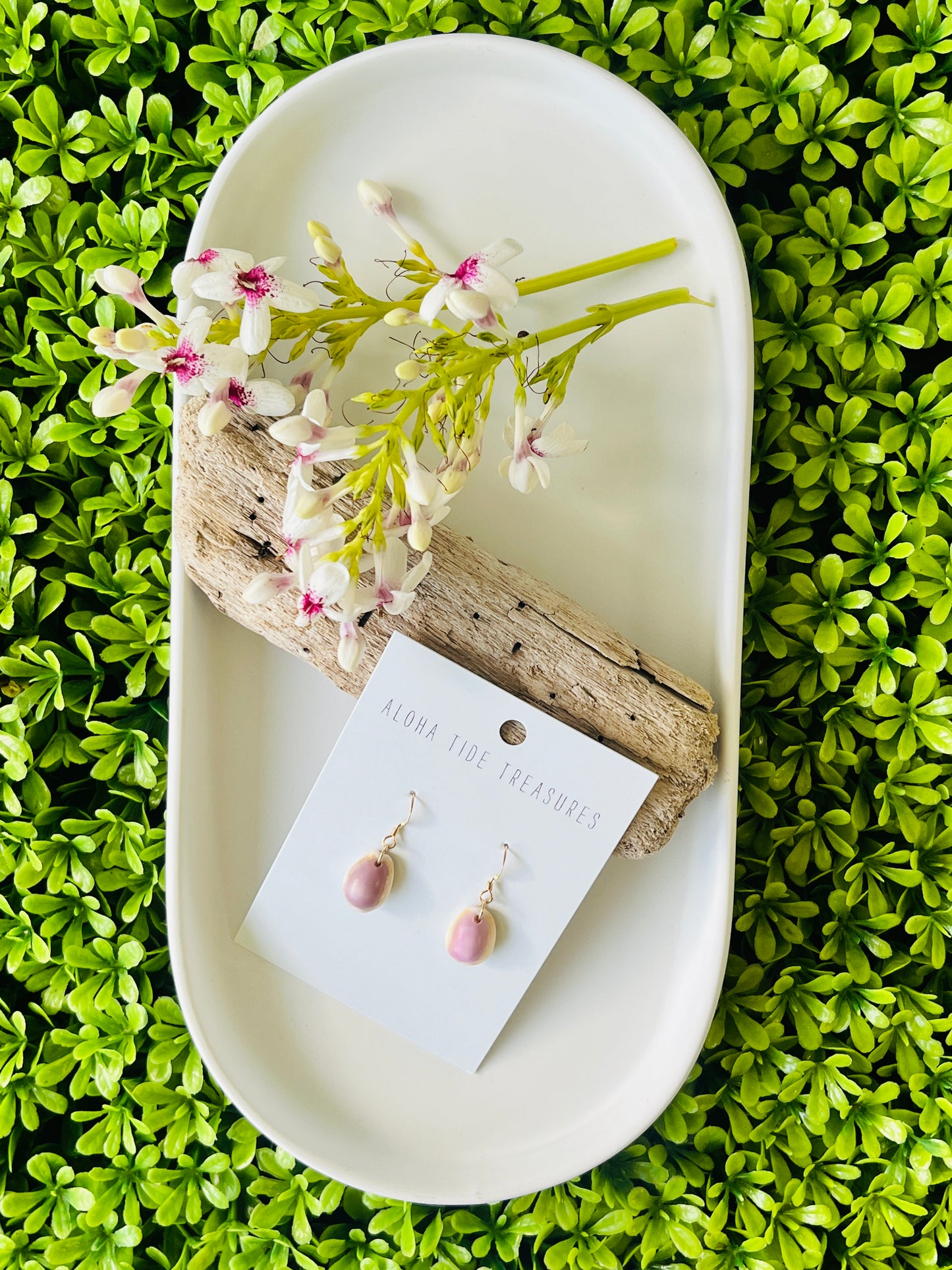 14K GF Cowrie Shell Earrings