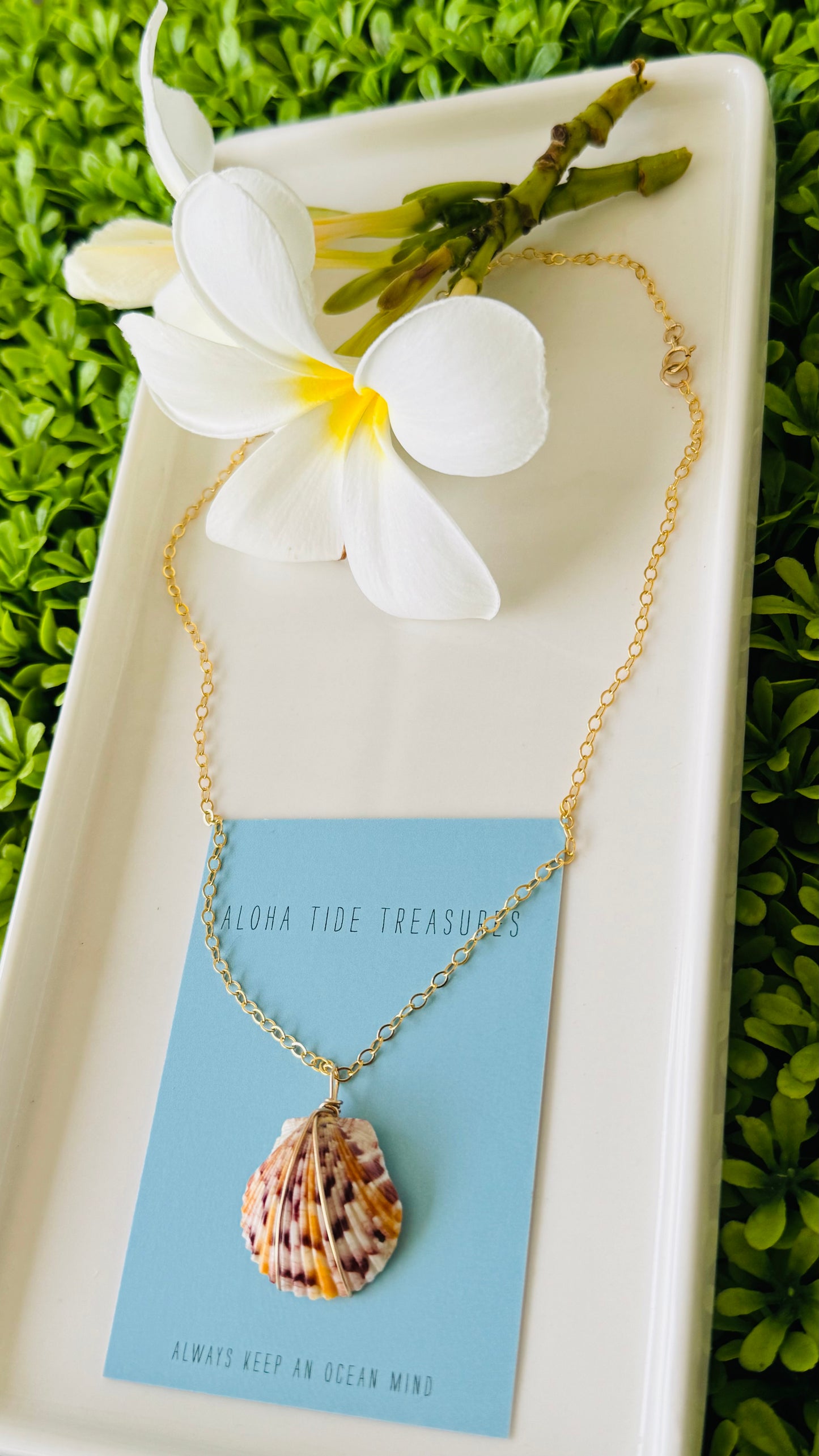 14K GF Scallop Shell Necklace 16”