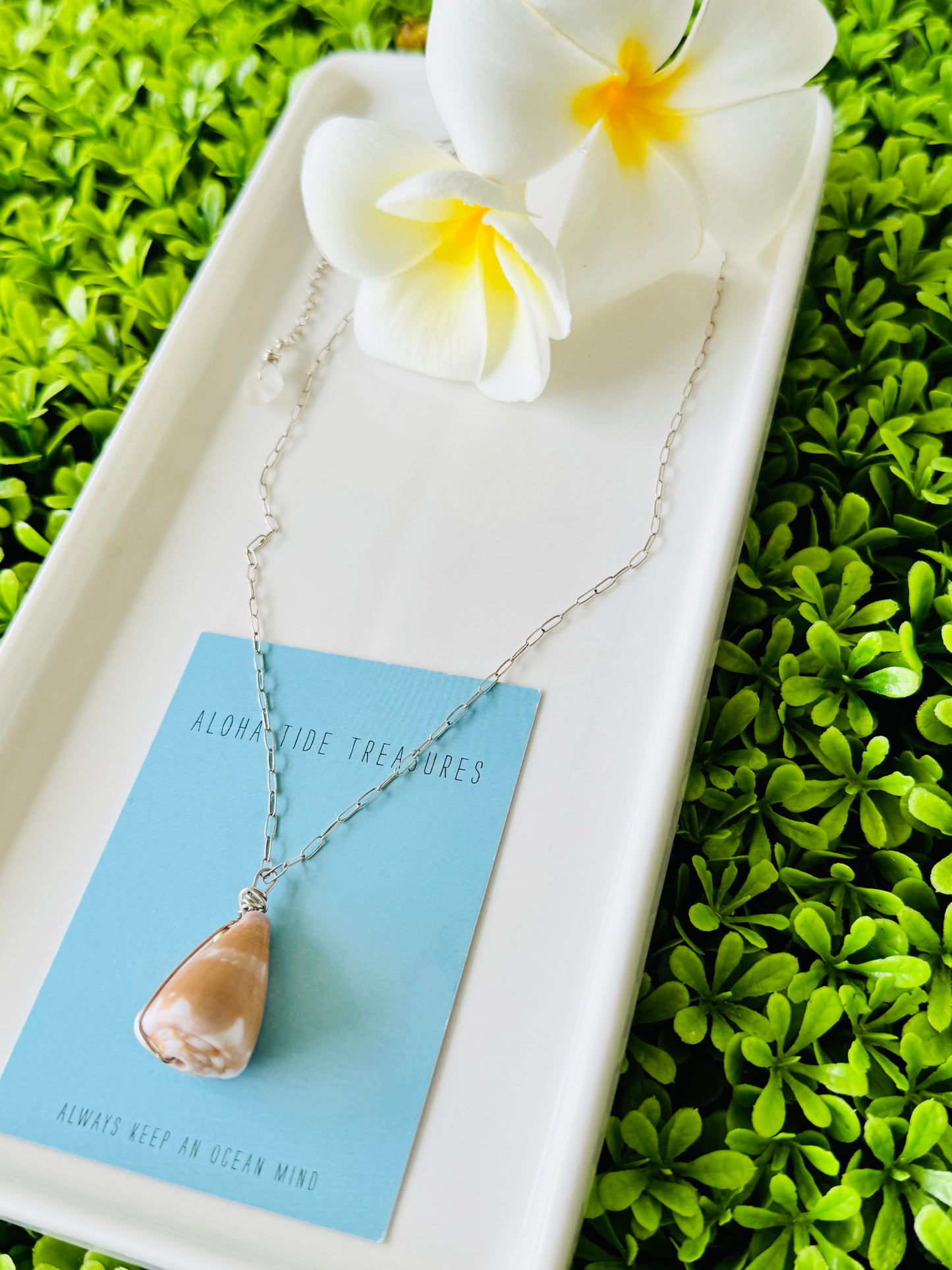 Sterling Silver Cone Shell Necklace 18”