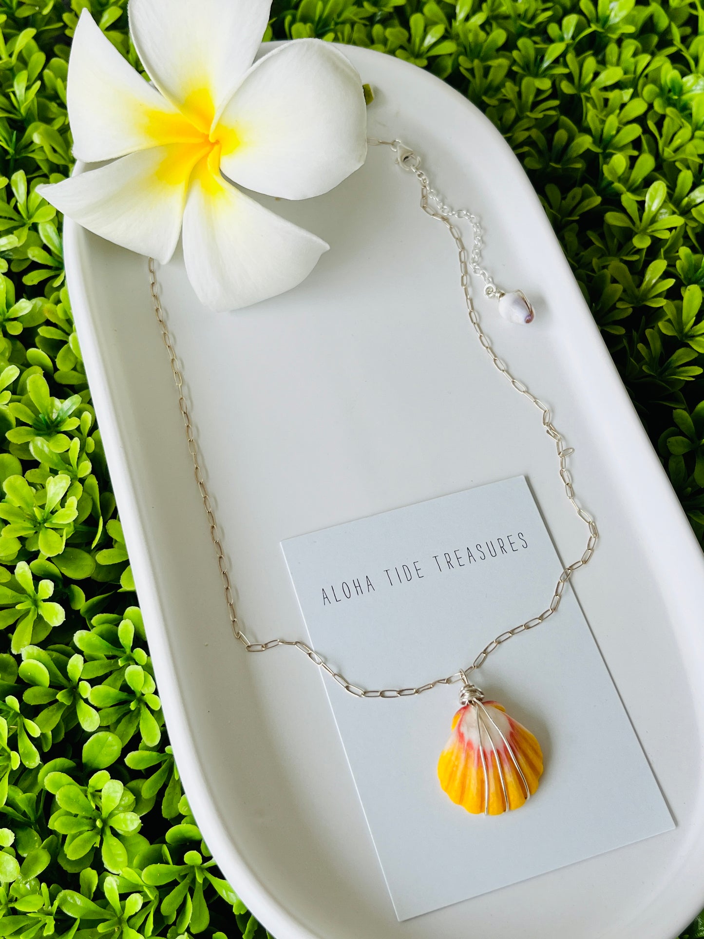 Sterling Silver Sunrise Shell Necklace 18”