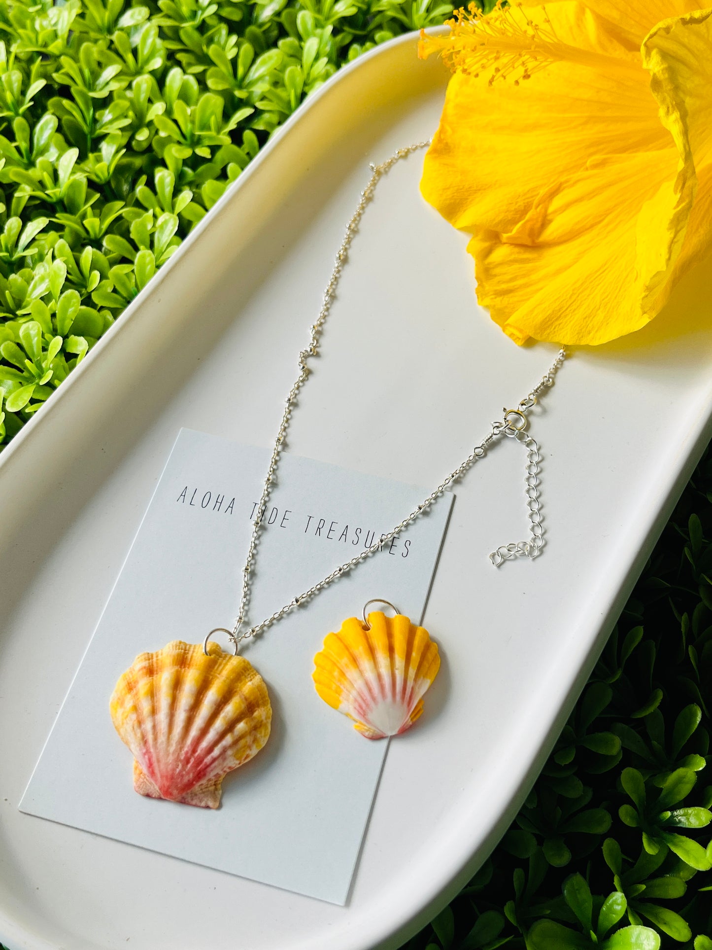 Sterling SIlver Sunrise Shell Necklace 15” - Bonus shell