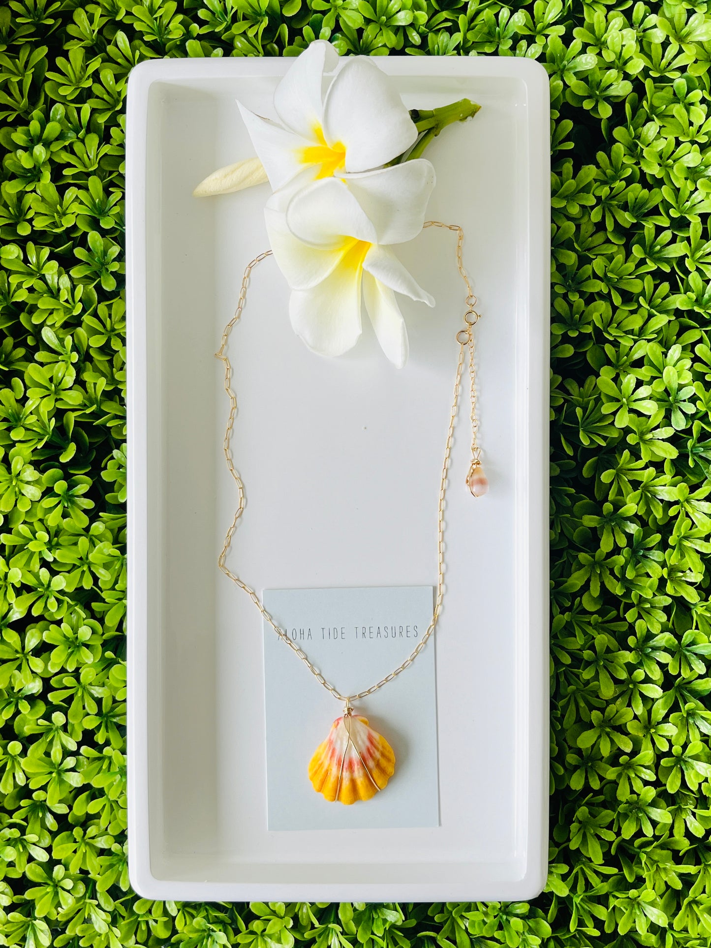 14K GF Sunrise Shell Necklace 18” - Aubree