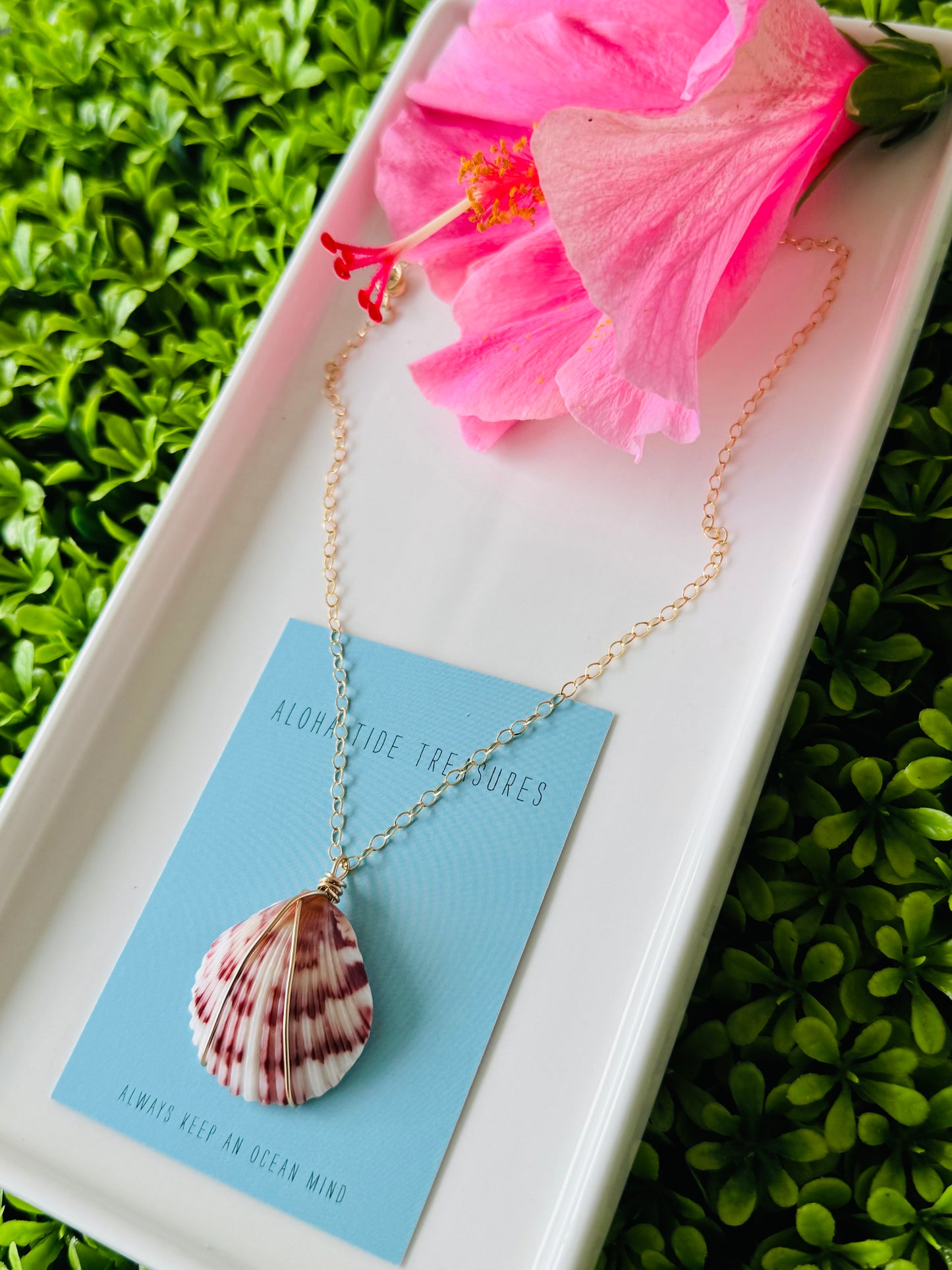 14K GF Carolina Calico Shell Necklace 16” - Kristin