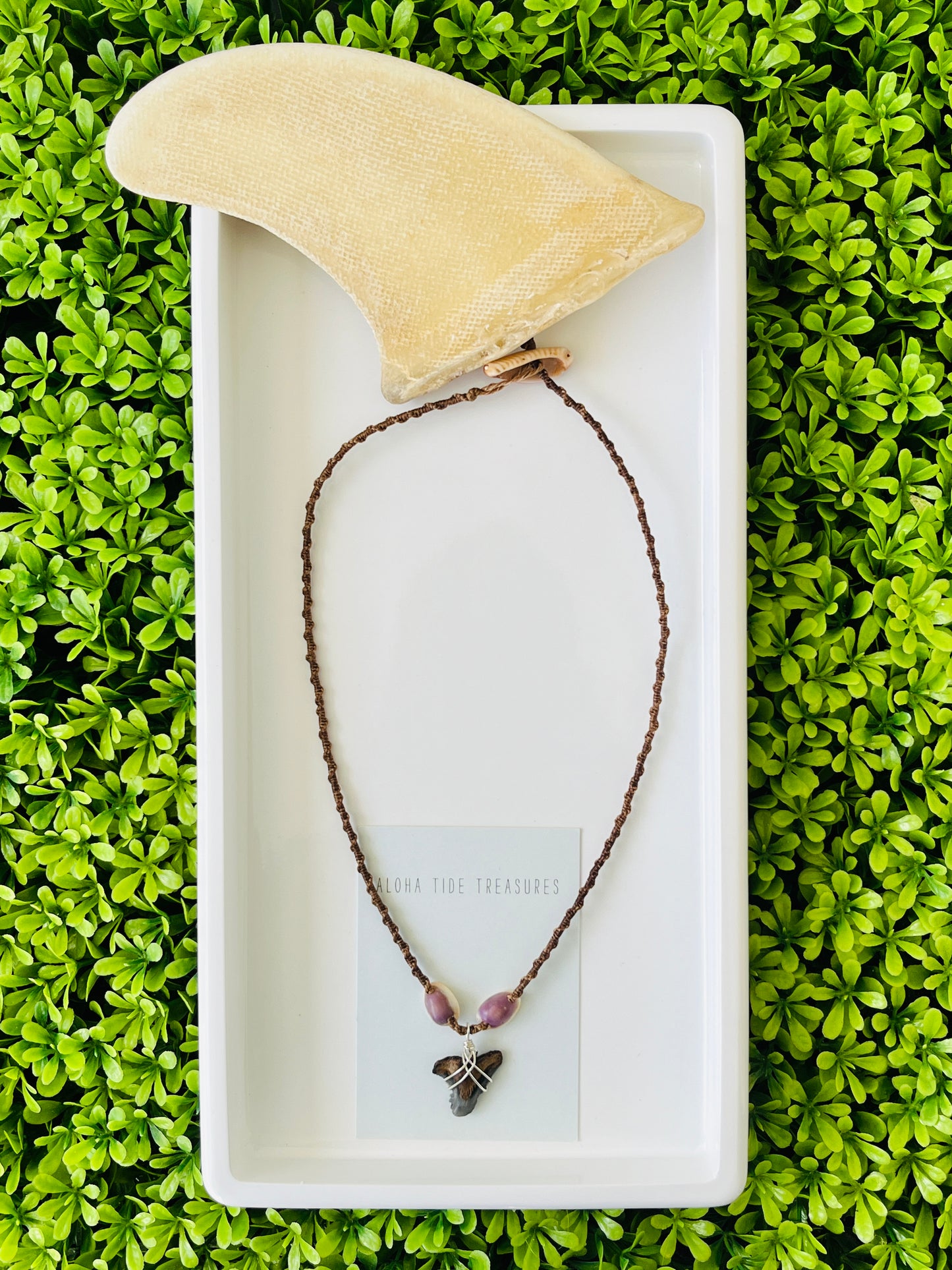 Shark Tooth Necklace 16”