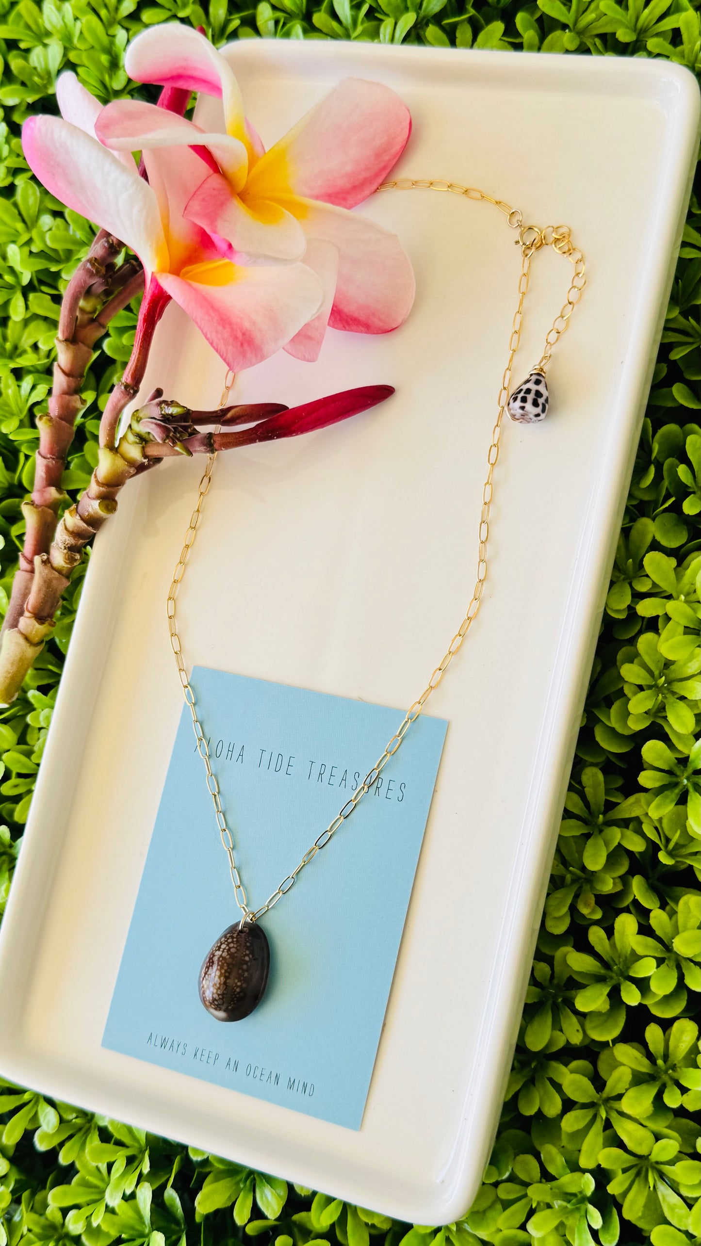 14K GF Cowrie Shell Necklace 16” - Ginny
