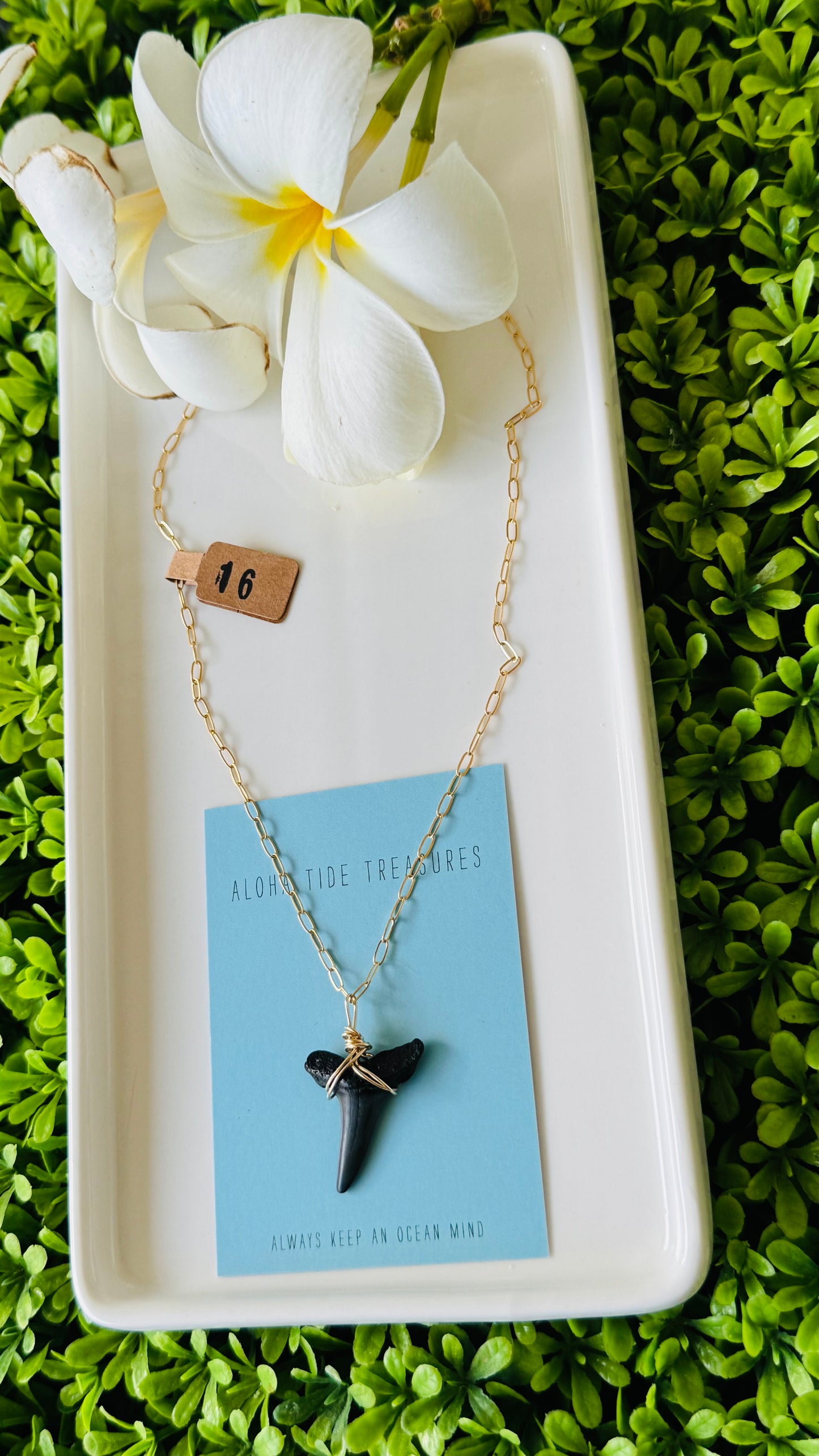 14K GF Shark Tooth Necklace 16”