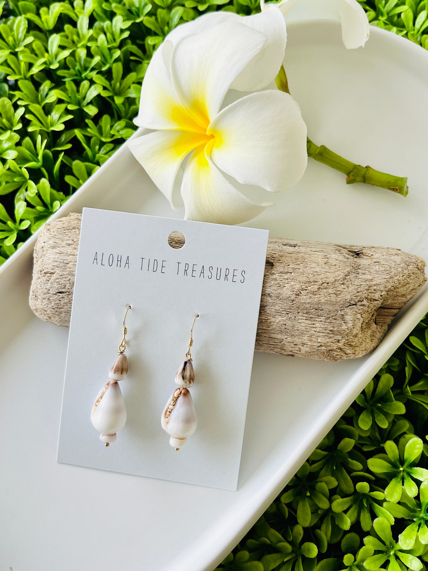 14K GF Stacked Cone Shell Earrings