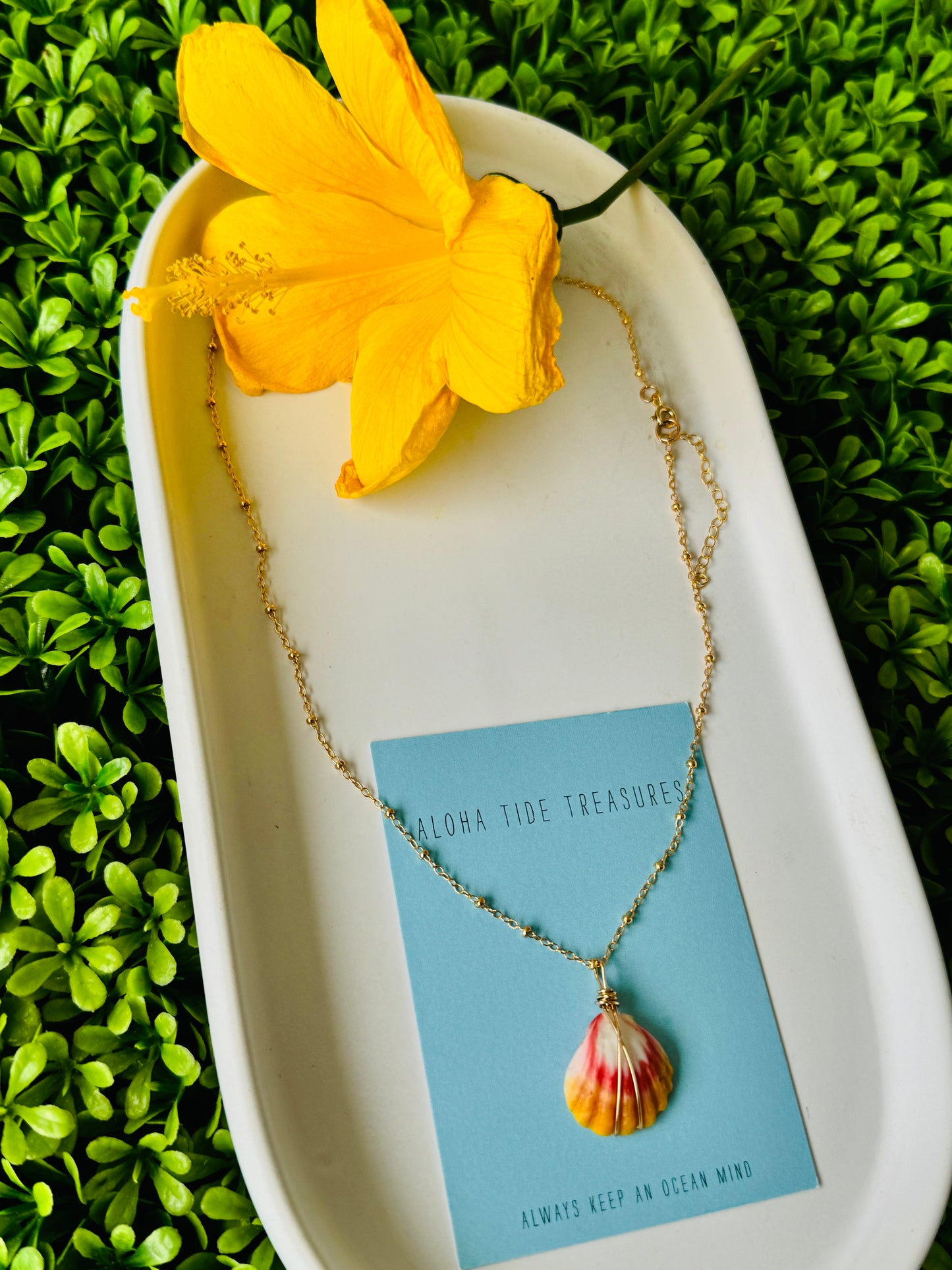 14K GF Sunrise Shell Necklace 16” - Andrea