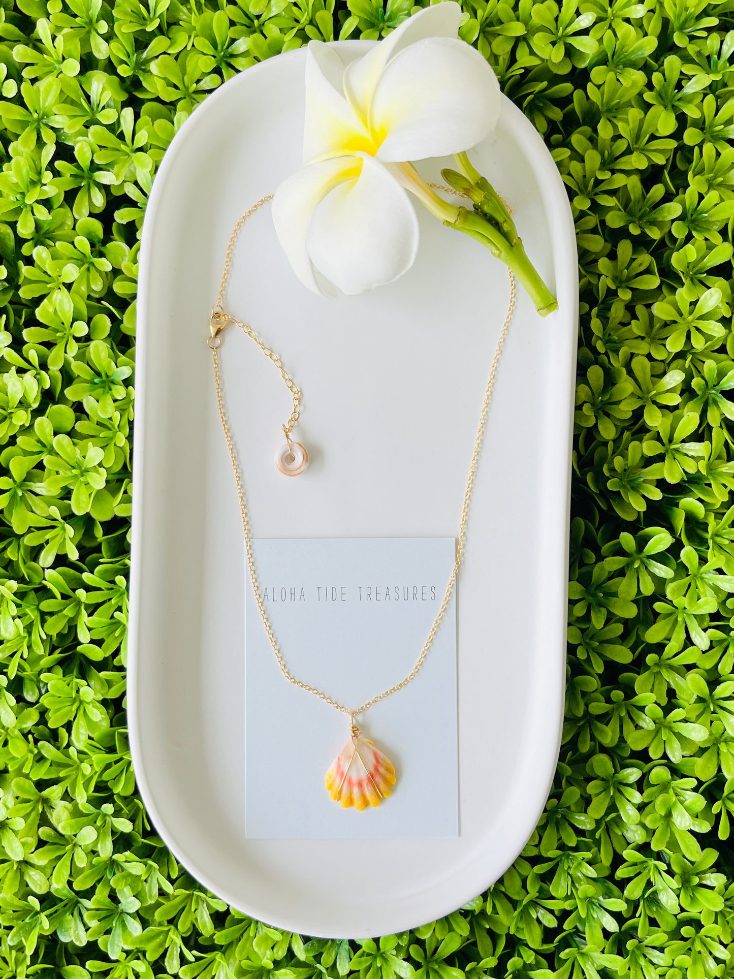 14K GF Sunrise Shell Necklace 16”