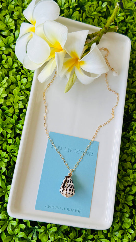 14K GF Hebrew Shell Necklace 18” - Ryan