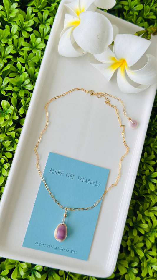 14K GF Cowrie Shell Necklace 14” - Analyse
