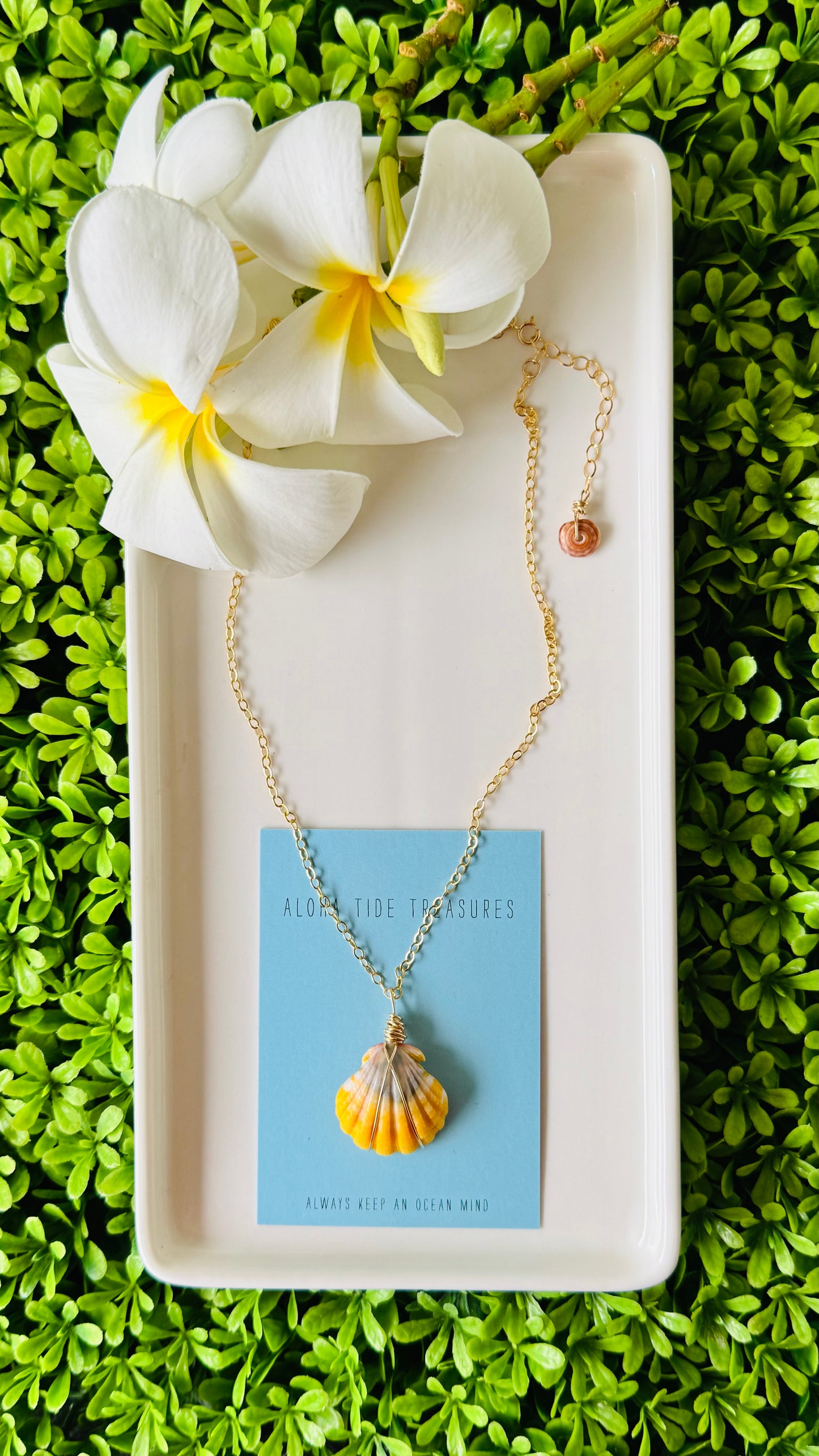 14K GF Sunrise Shell Necklace 16”