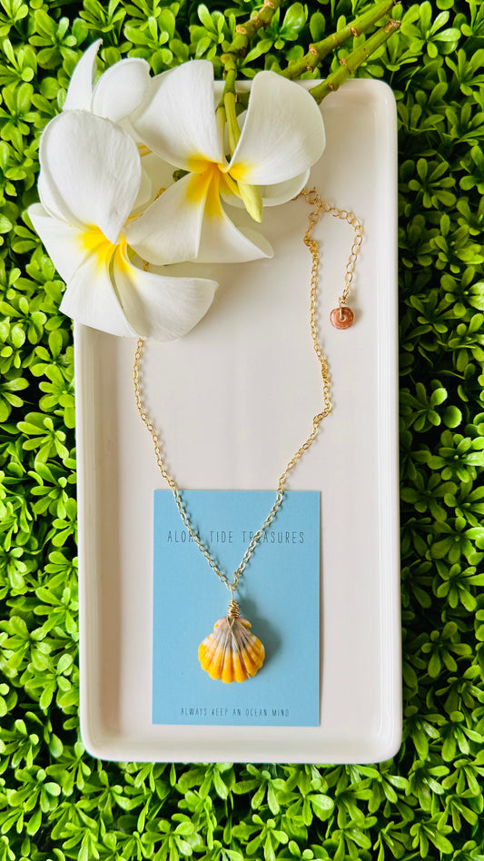 14K GF Sunrise Shell Necklace 16”