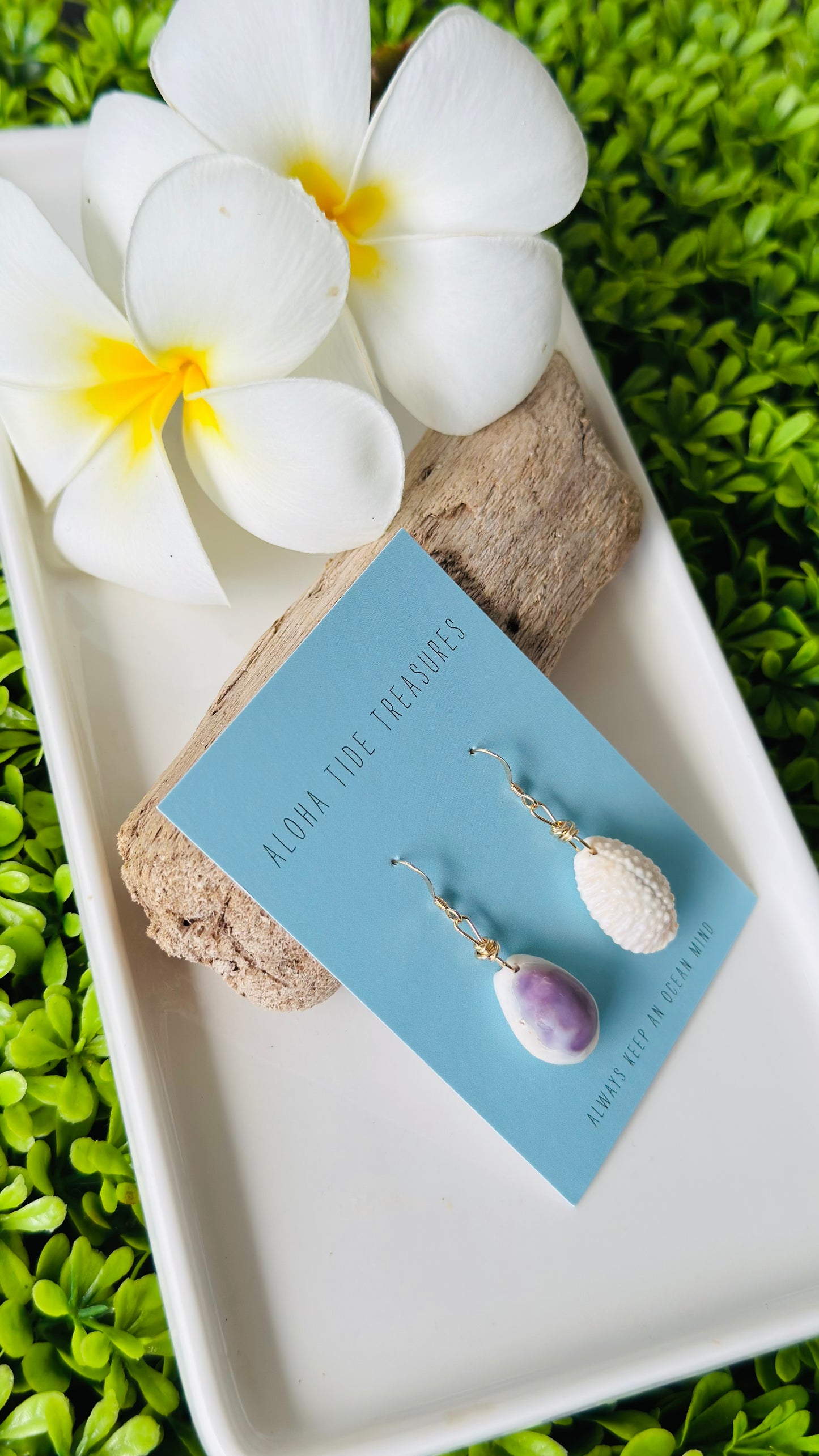 14K GF ‘Mismatched’ Cowrie Earrings - Mary