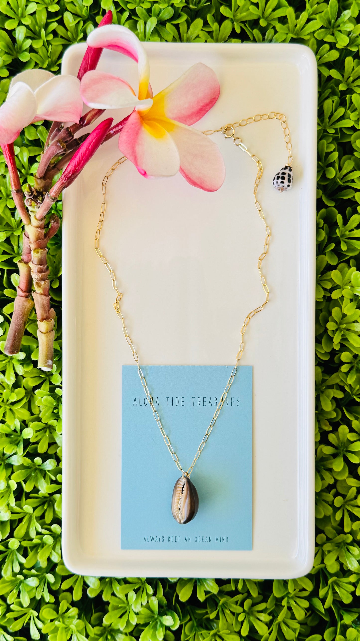 14K GF Cowrie Shell Necklace 16” - Ginny