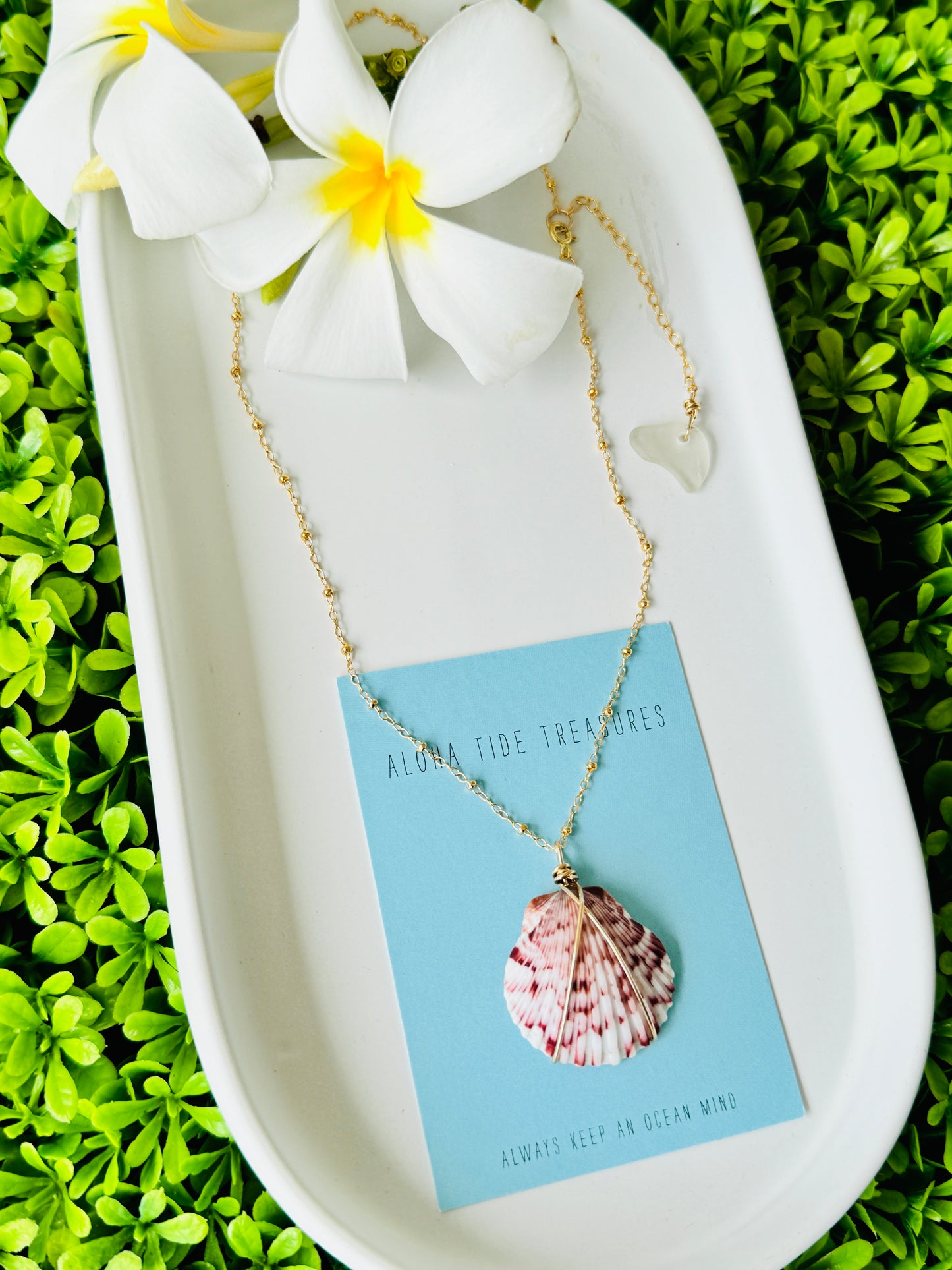 14K GF Carolina Calico Shell Necklace - 16”