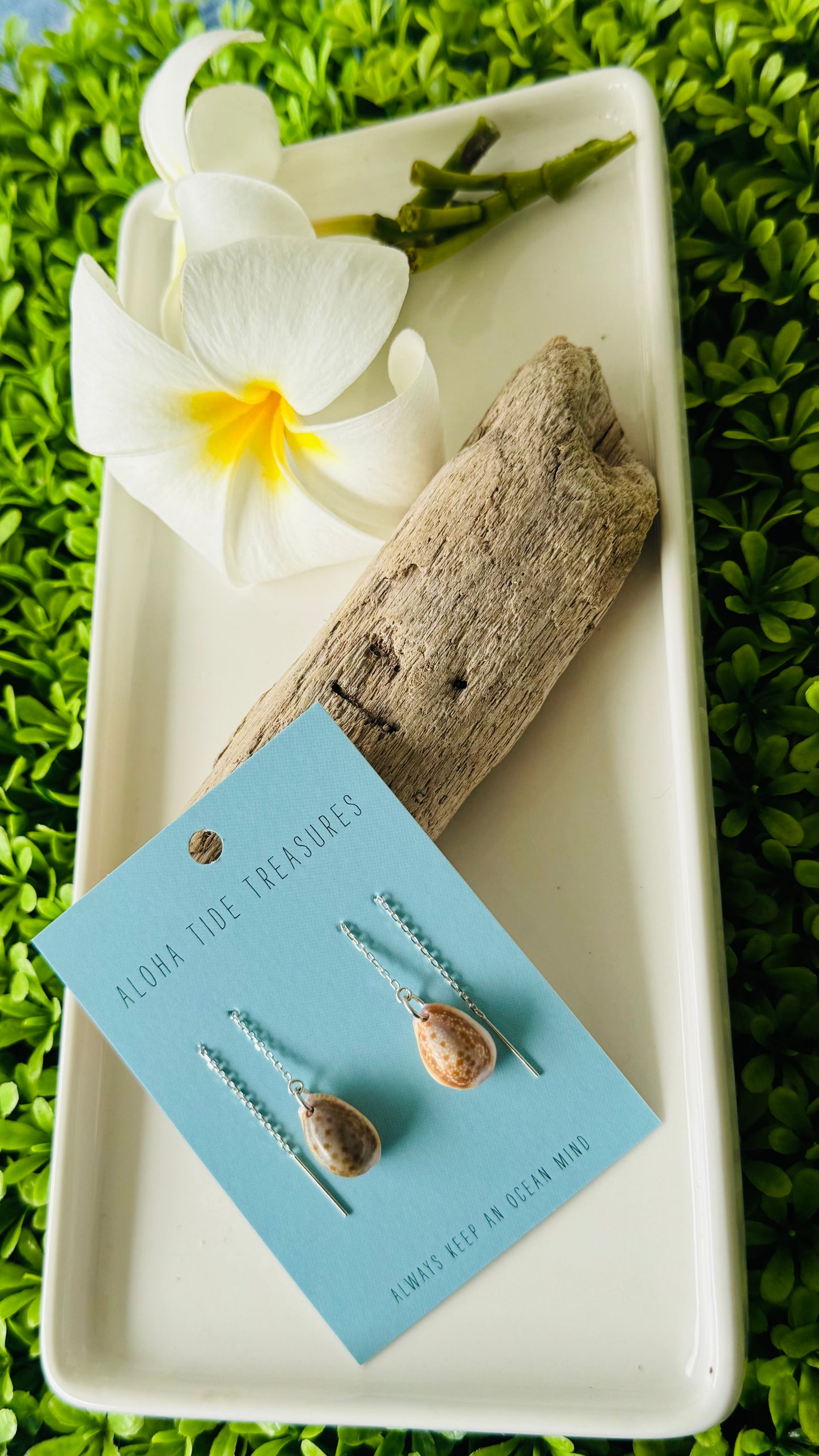 Sterling Silver Cowrie Shell Threader Earrings