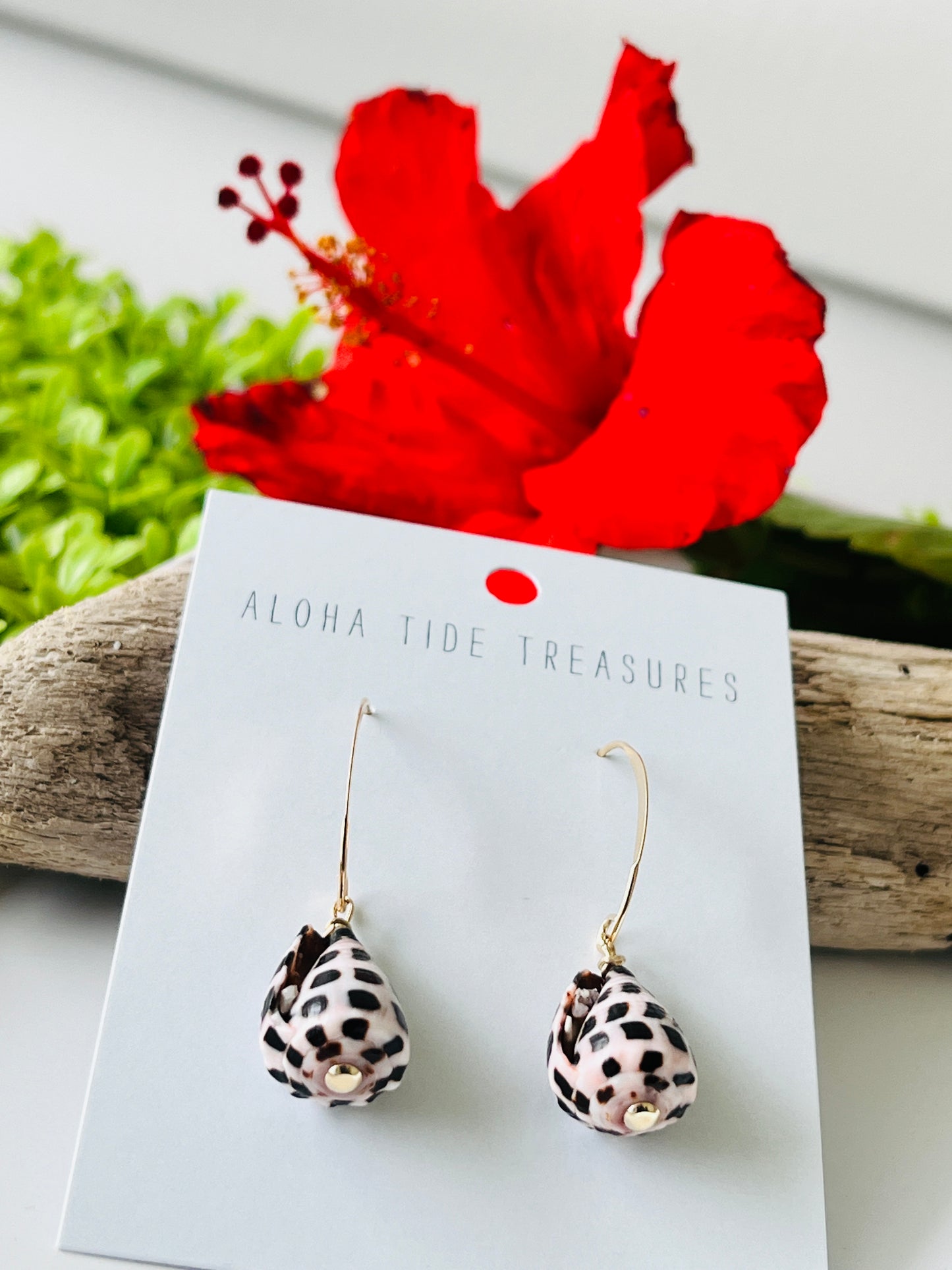14K GF Hebrew Earrings