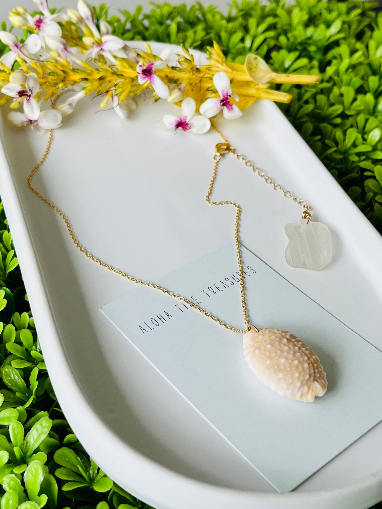14K GF Cowrie Shell Necklace 20”