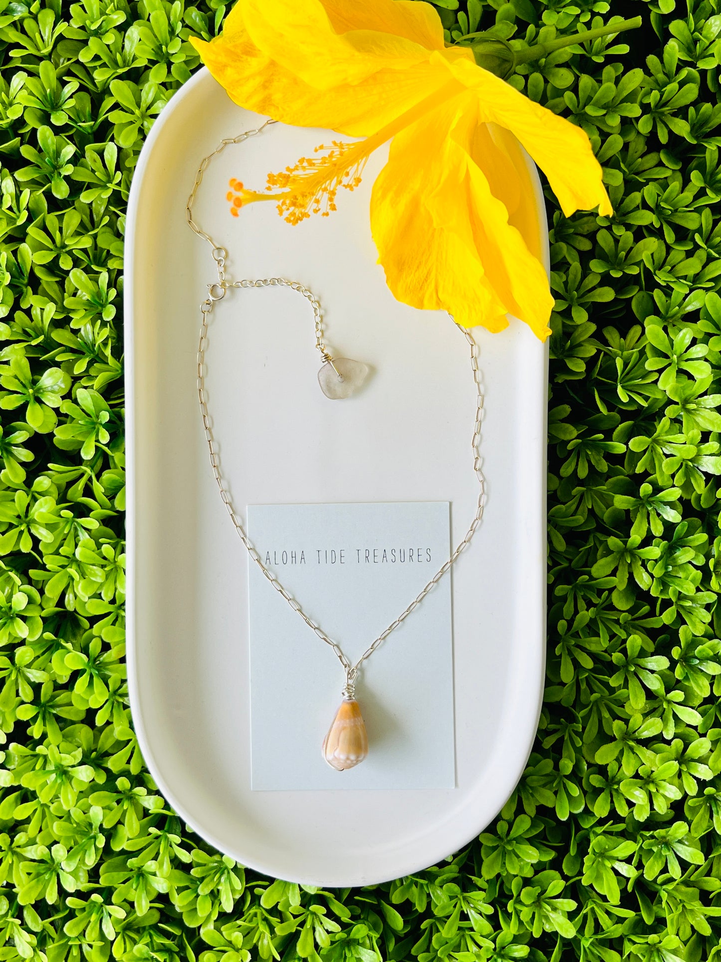 Sterling Silver Cone Shell Necklace 18”