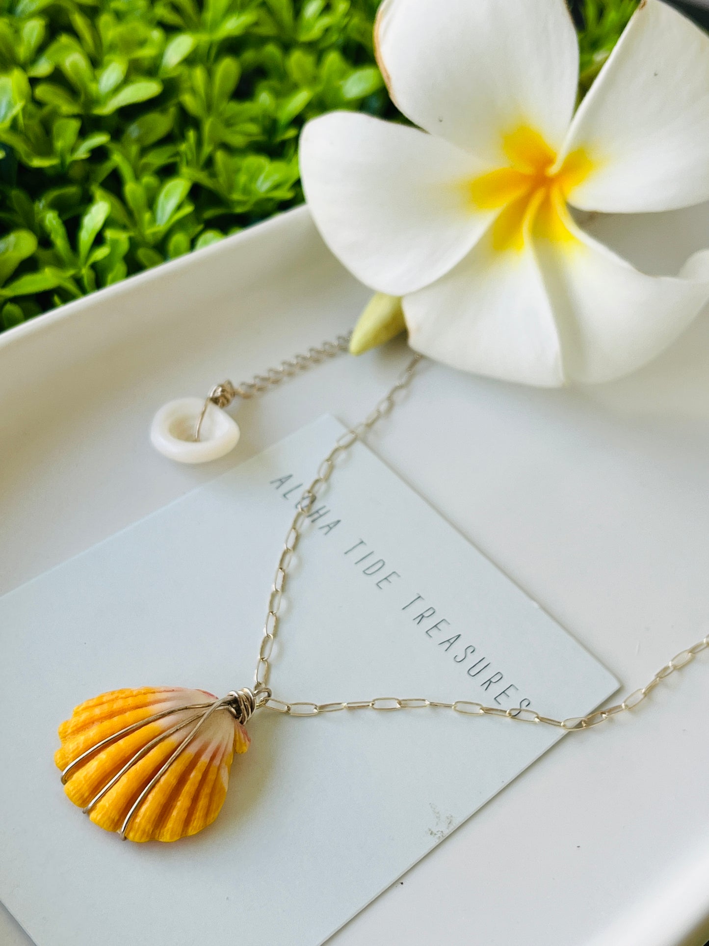 Sterling Silver Sunrise Shell Necklace 16”