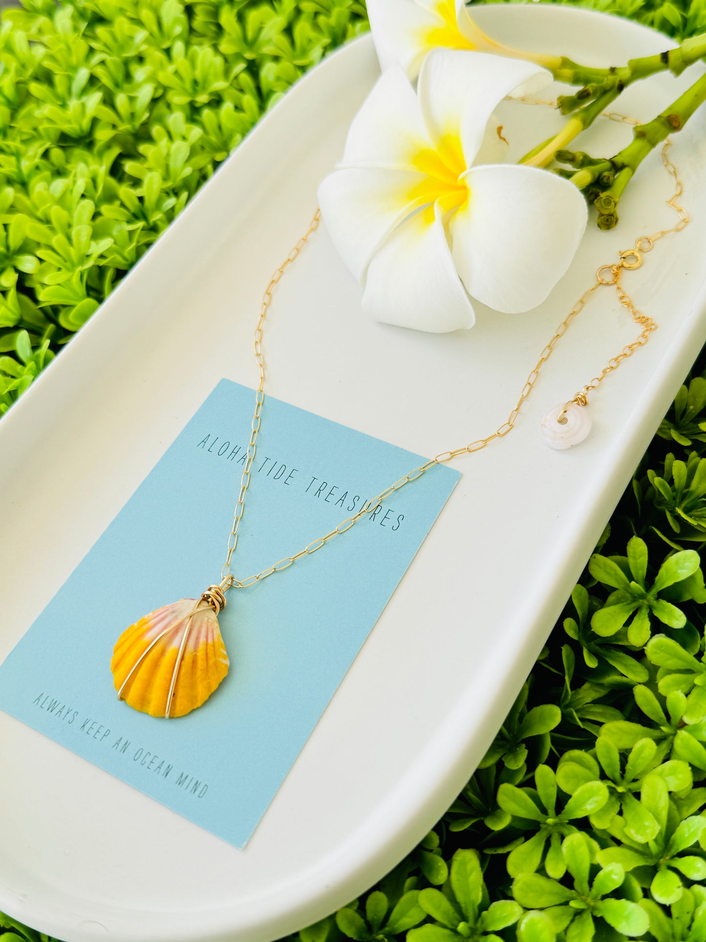 14K GF Sunrise Shell Necklace 16”