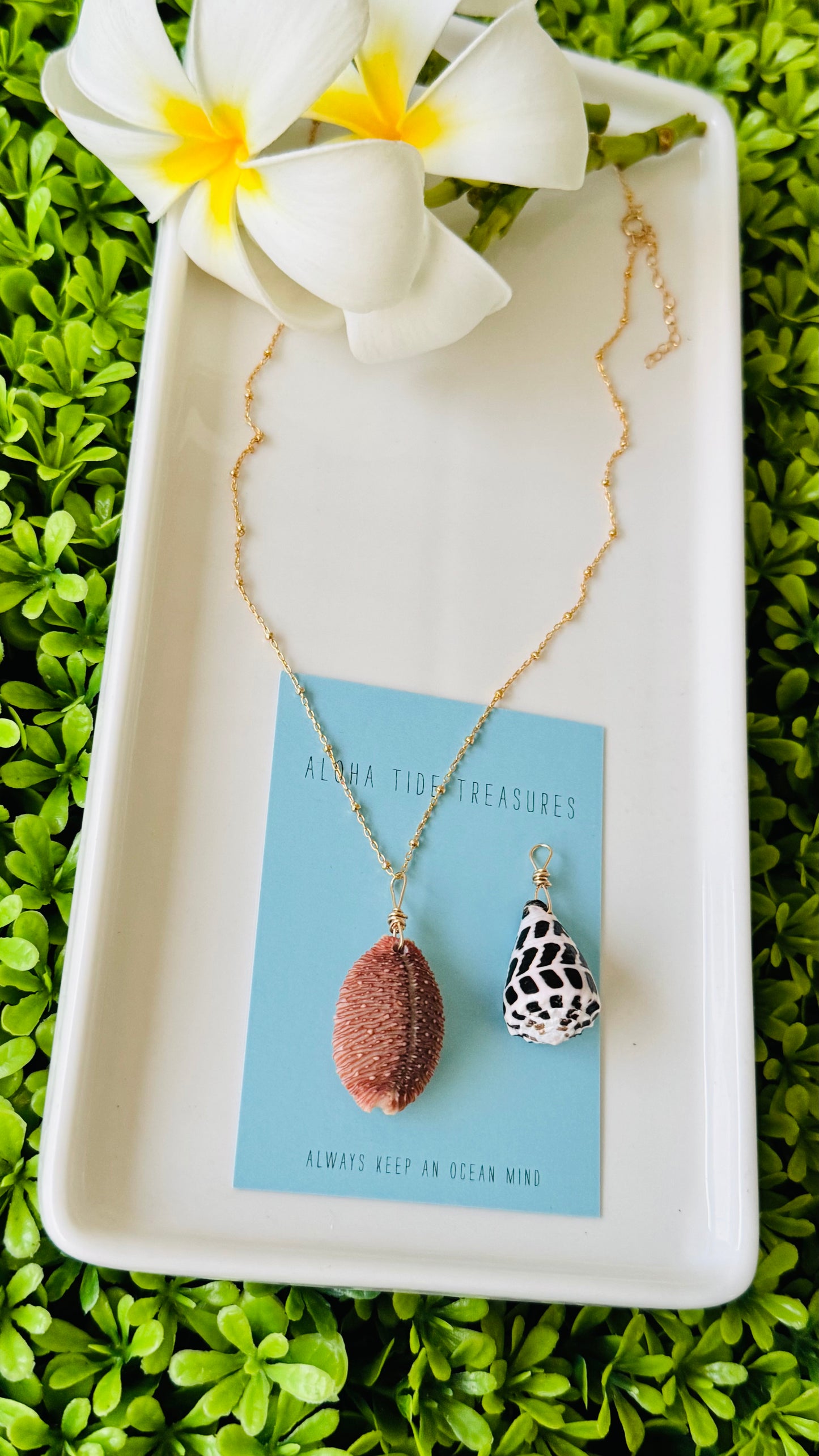 14K GF Cowrie Shell Necklace 16” - Julianne