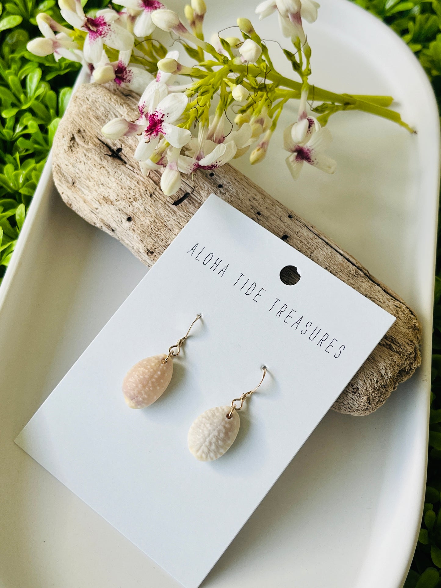 14K GF Granulated Cowrie Shell Earrings