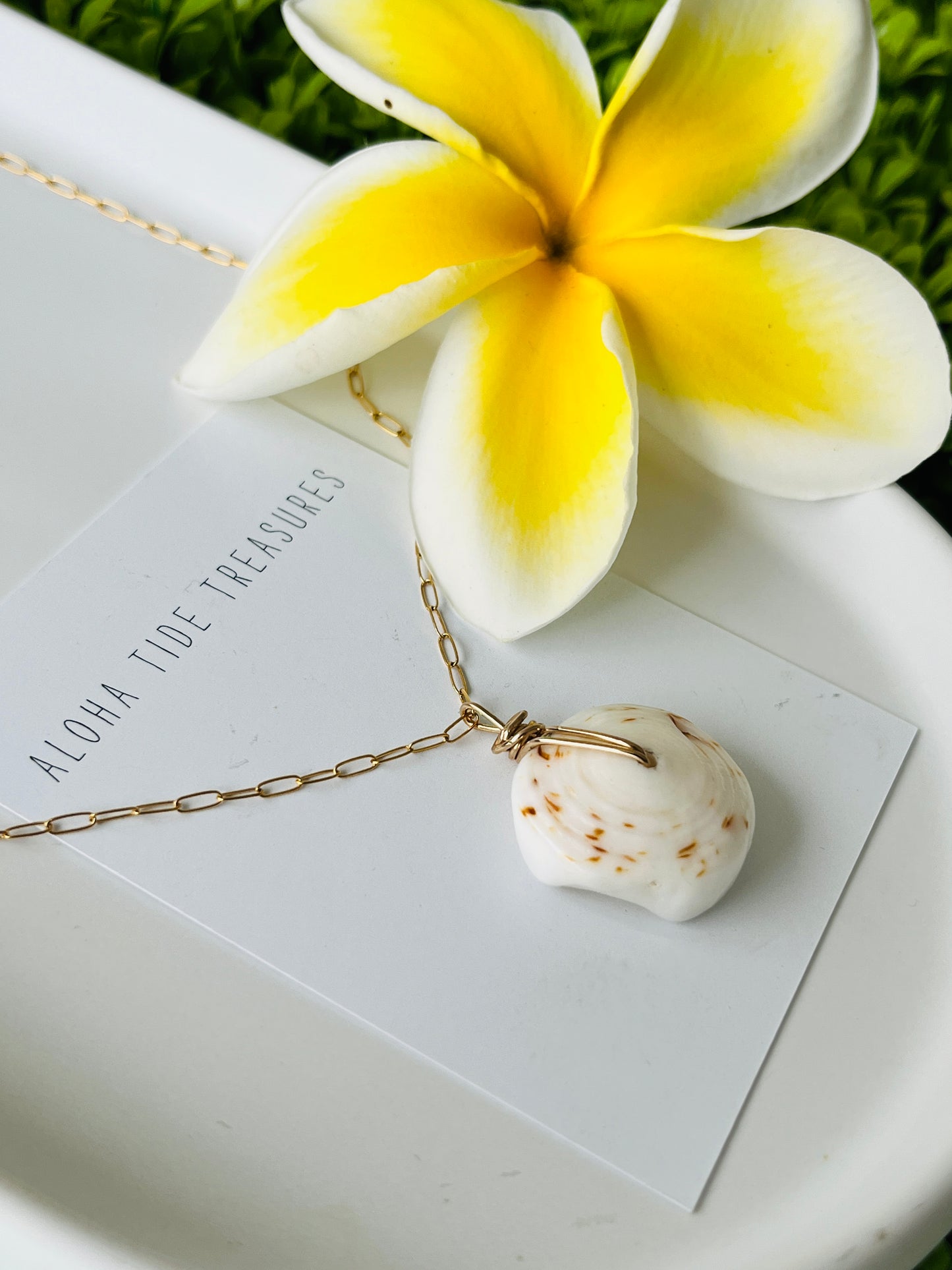 14K GF Puka Shell Necklace 20”