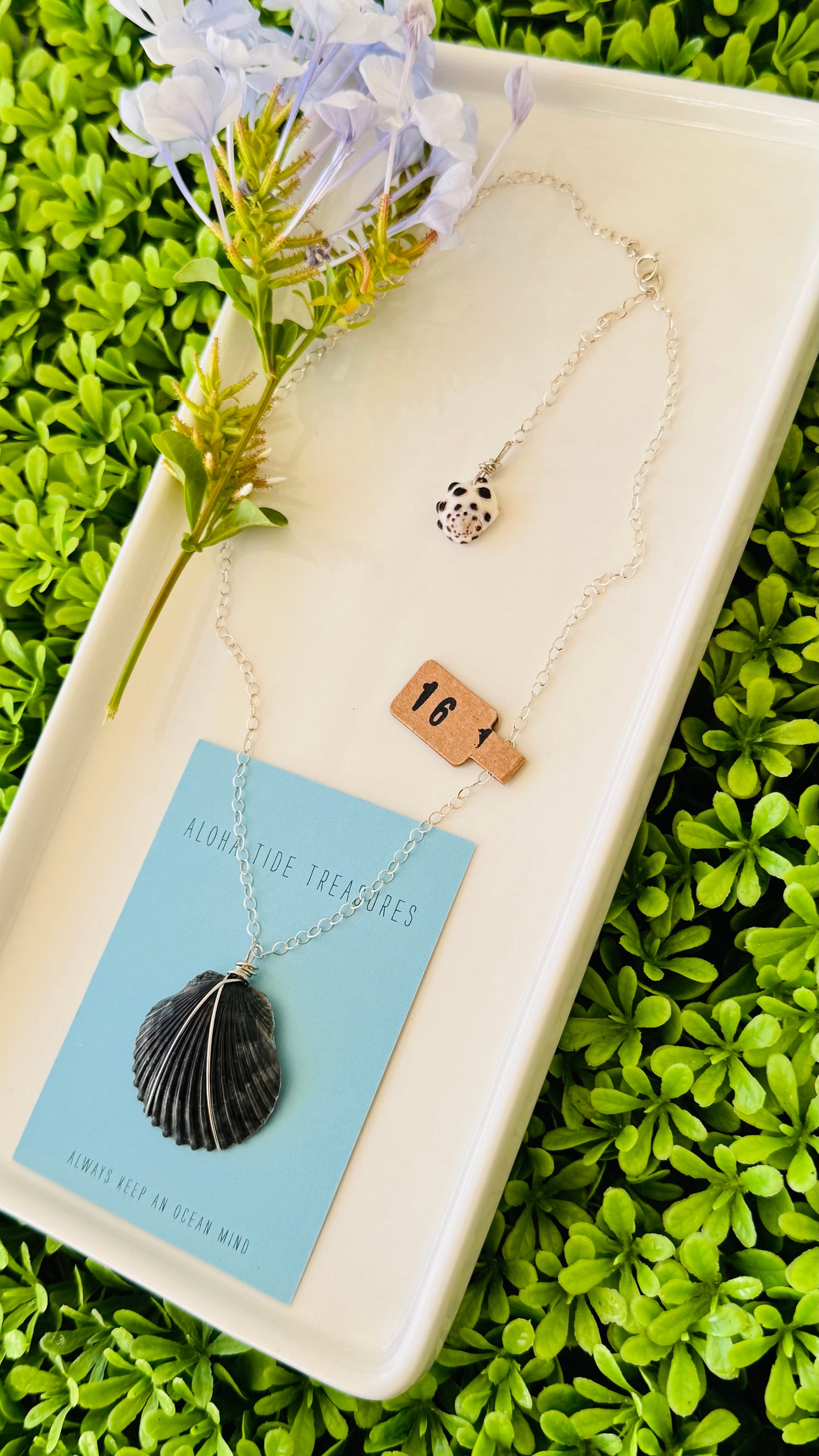 Sterling Silver Black Shell Necklace - 16”