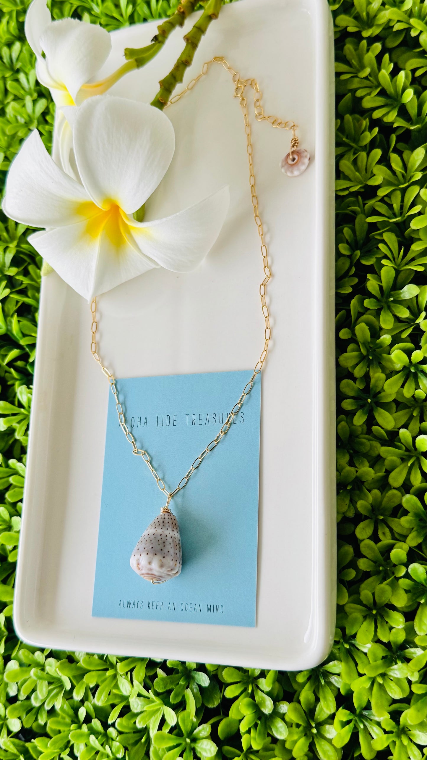14K GF Abbreviated Cone Shell Necklace 16”