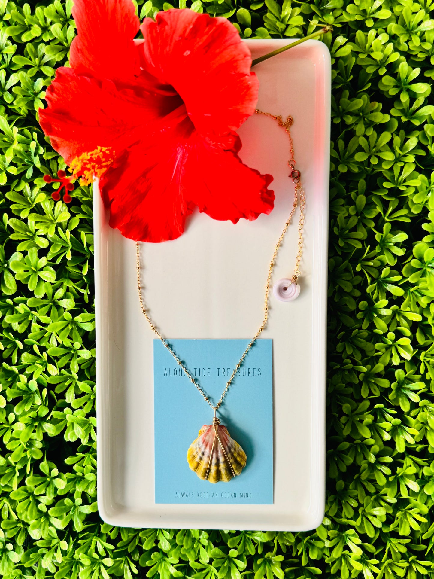 14K GF Moonrise Shell Necklace 16”