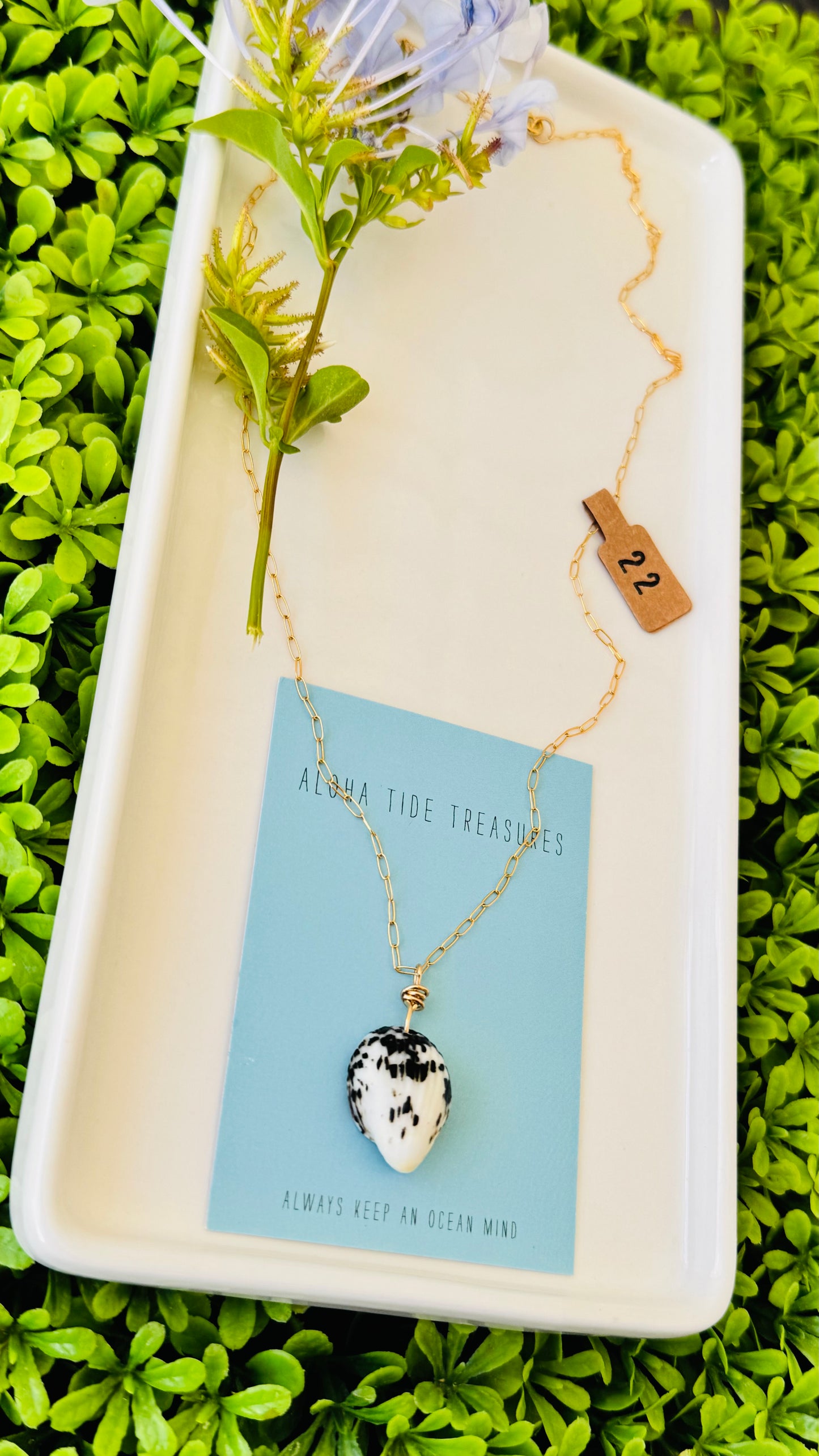 14K GF Nerite Shell Necklace 22”